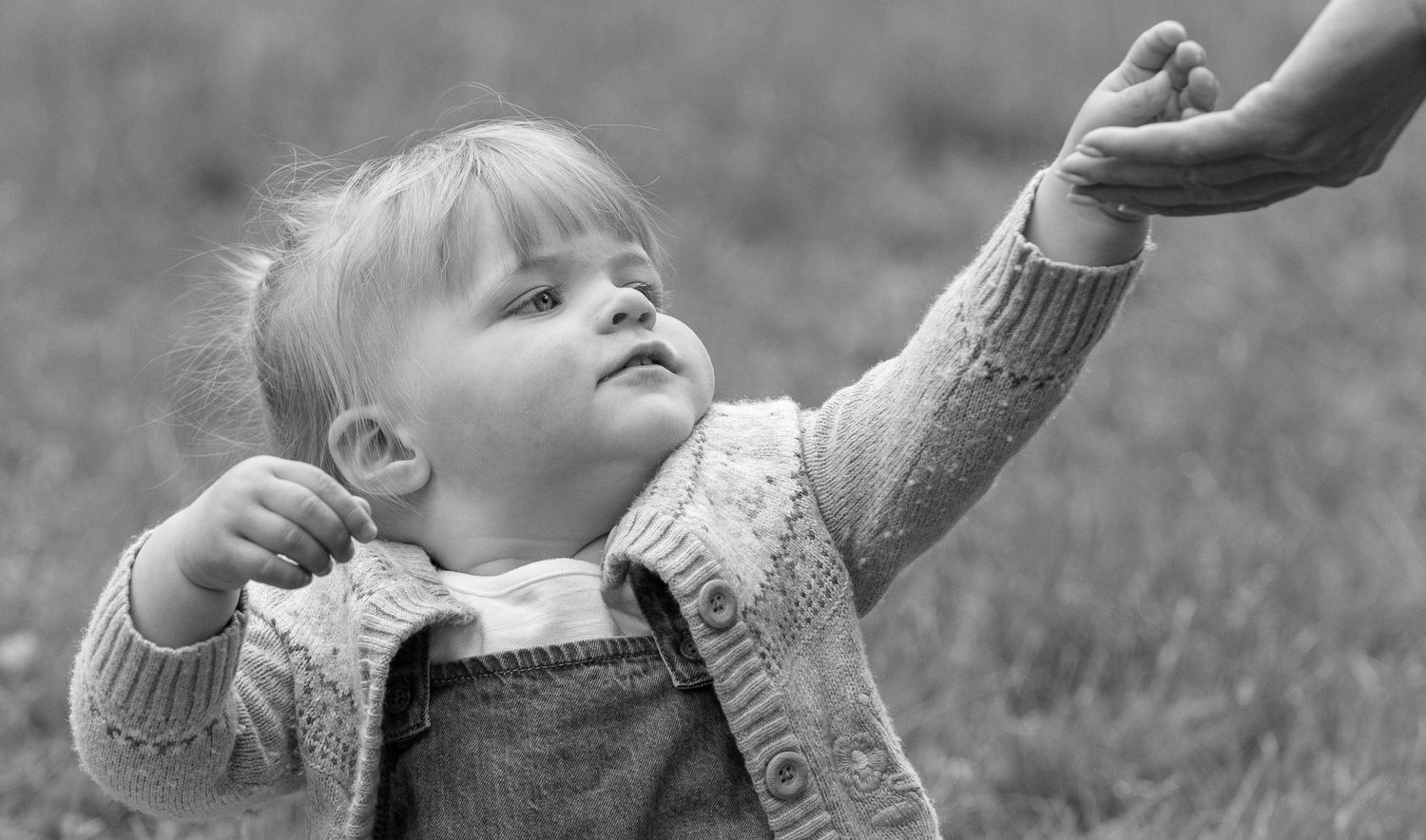 Black and white image showing adult hands helping a toddler learn to walk on grass.