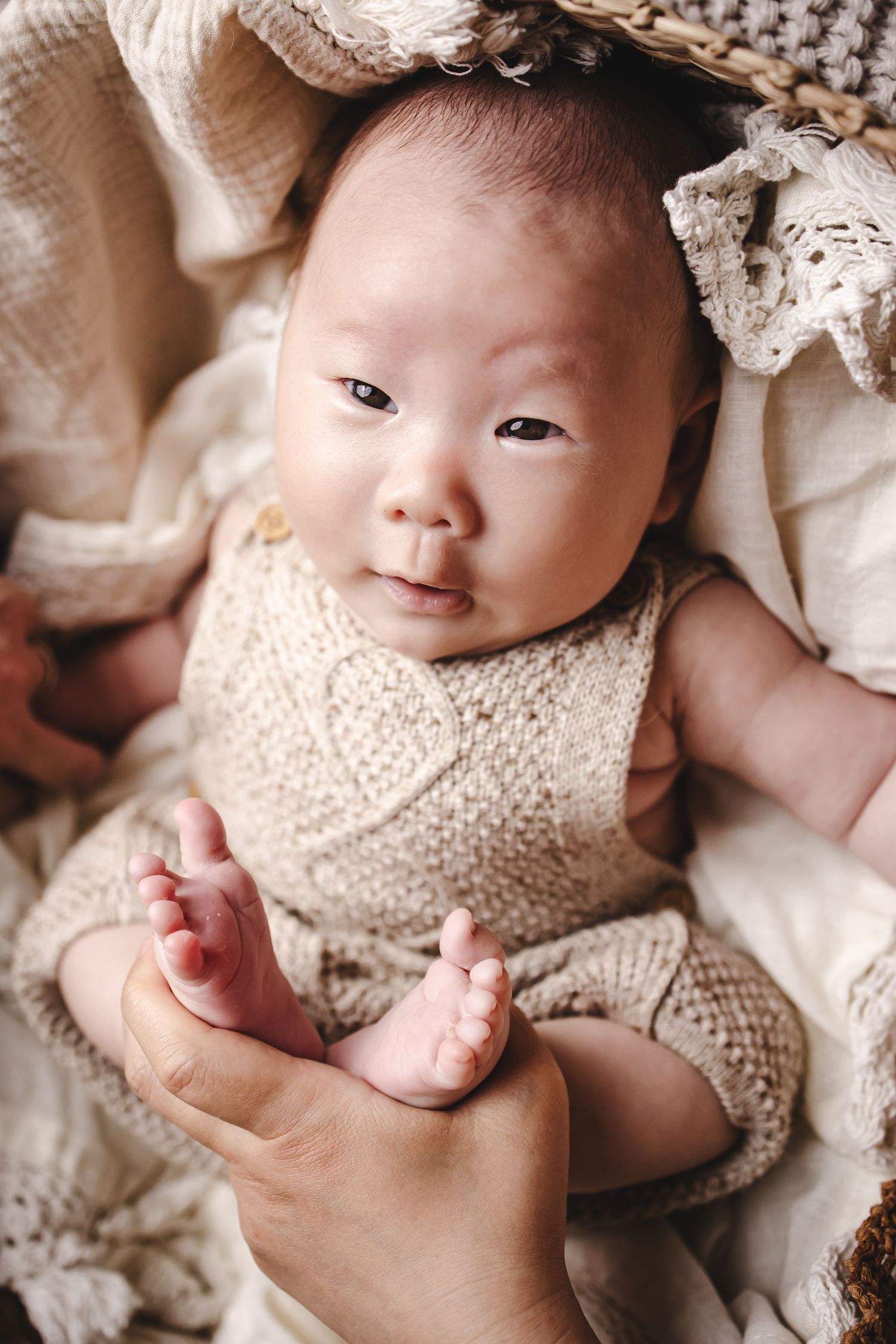 studio newborn photography session Boronia Melbourne