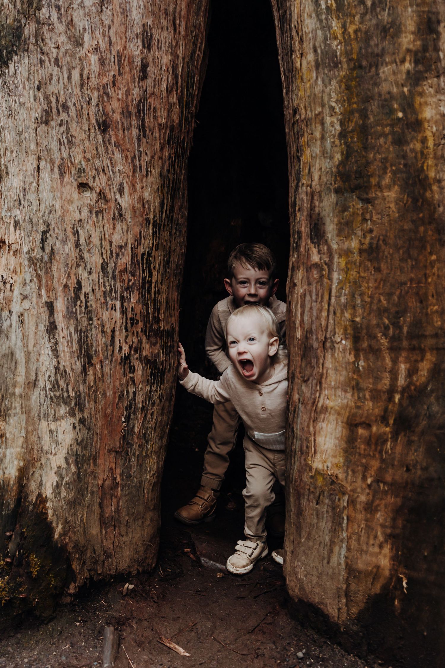 outdoor family photography session south east Melbourne