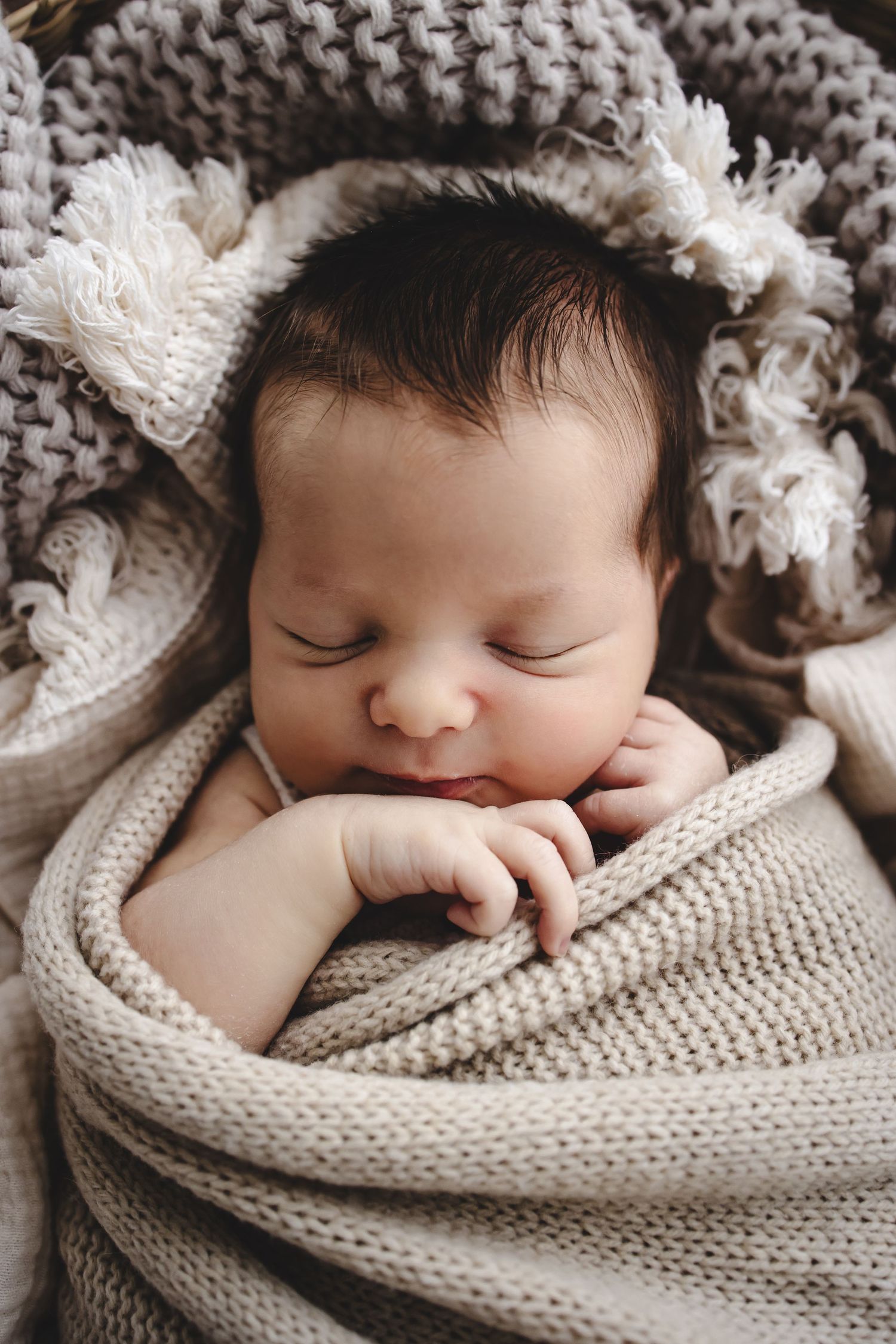 studio newborn photography session Boronia Melbourne