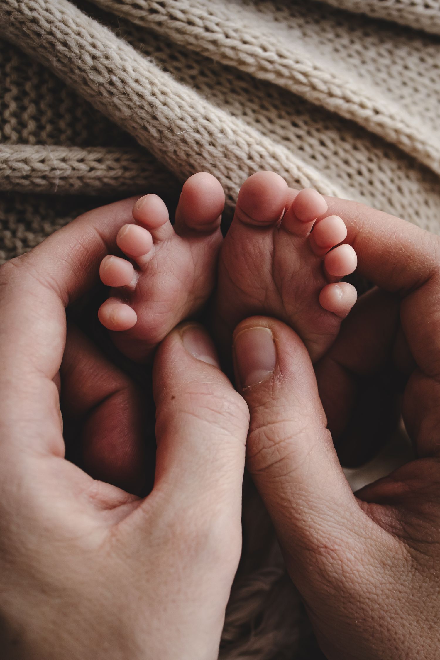 studio newborn photography session Boronia Melbourne