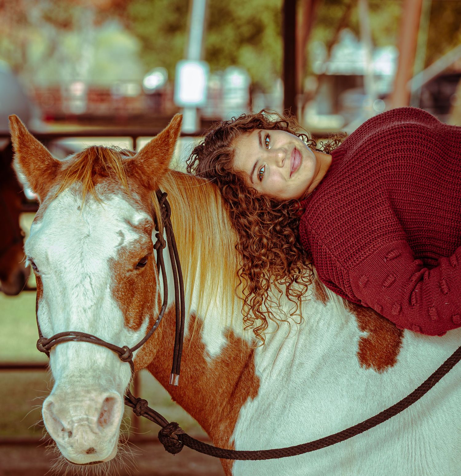 A series of close-up shots showing white and brown horses with leather bridles and reins.