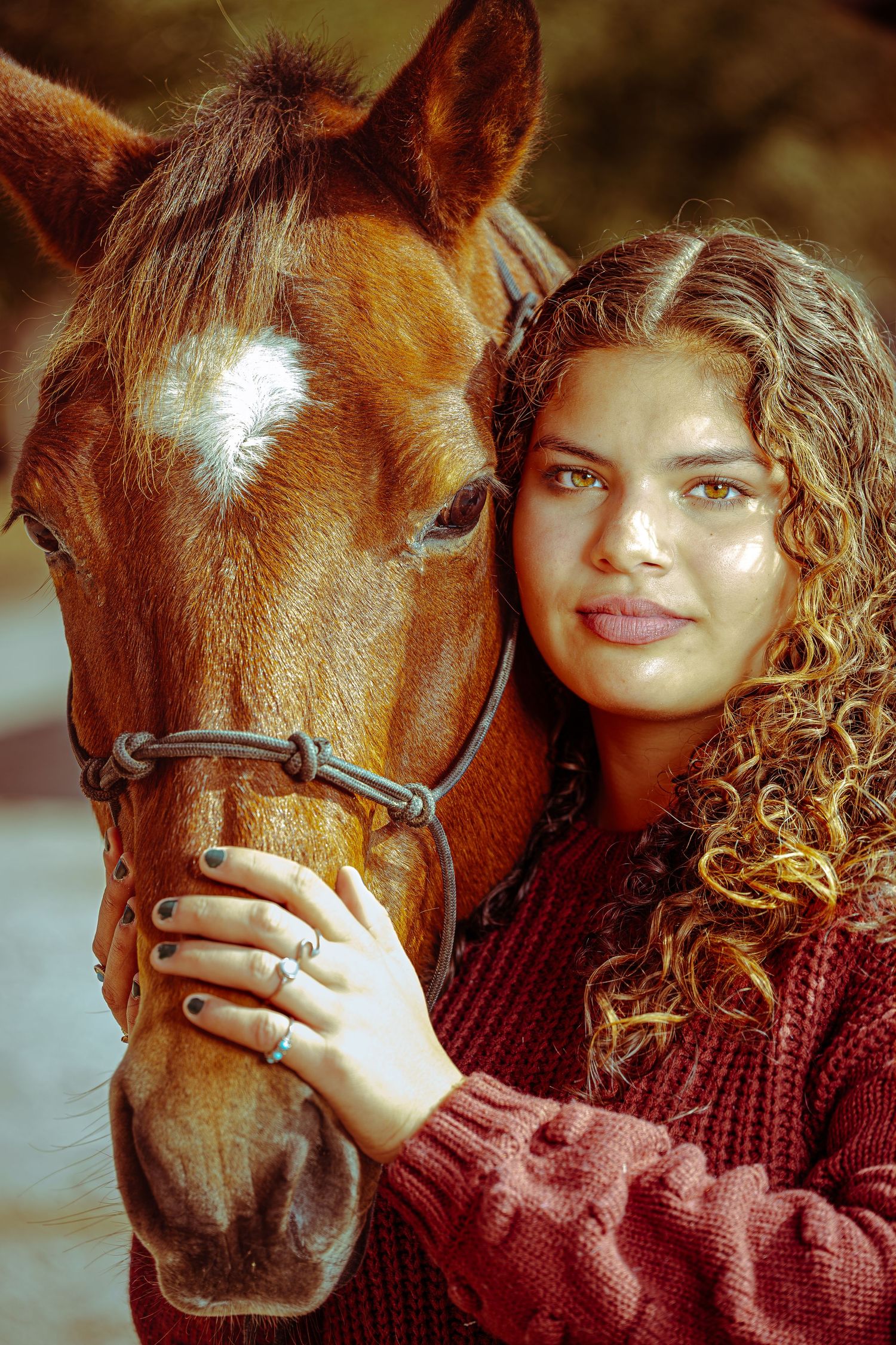 Close-up series of a brown pony and someone wearing a burgundy sweater in warm natural lighting.