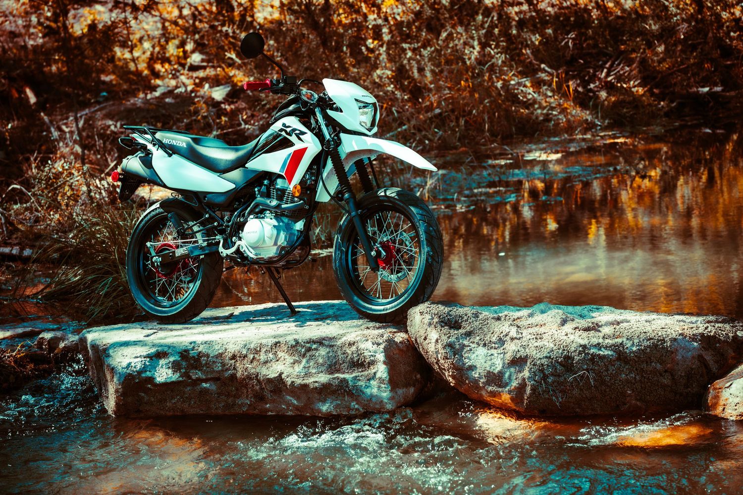 Adventure bike positioned along rocky waterfront with autumn foliage reflecting in calm water.
