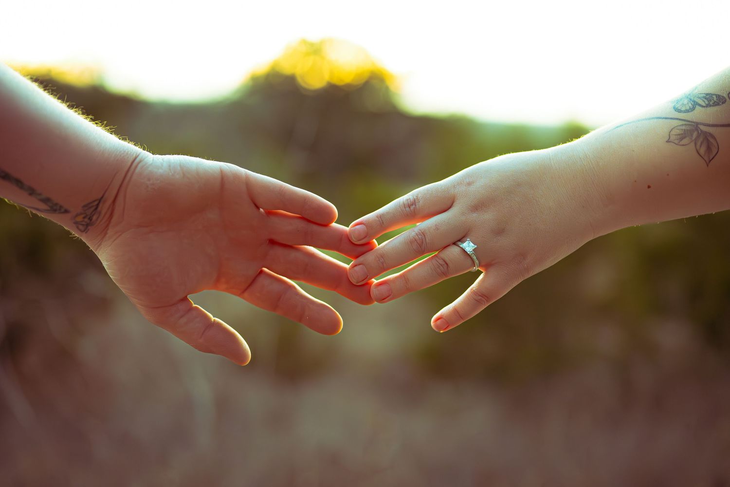 Silhouetted hands reach towards the sun creating a warm, ethereal glow in a natural outdoor setting.