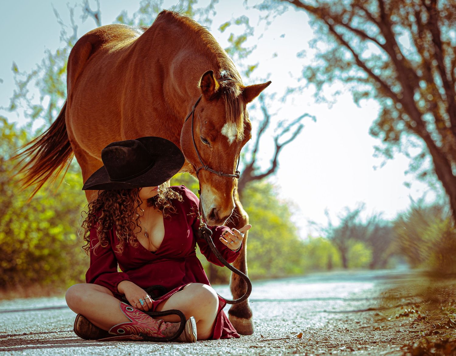 A brown horse bends down toward someone in a red dress sitting on a country road at sunset.