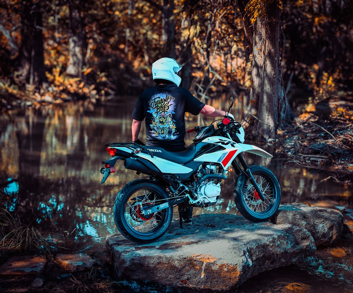 Dual sport motorcycle displayed in forest setting with cinematic lighting.