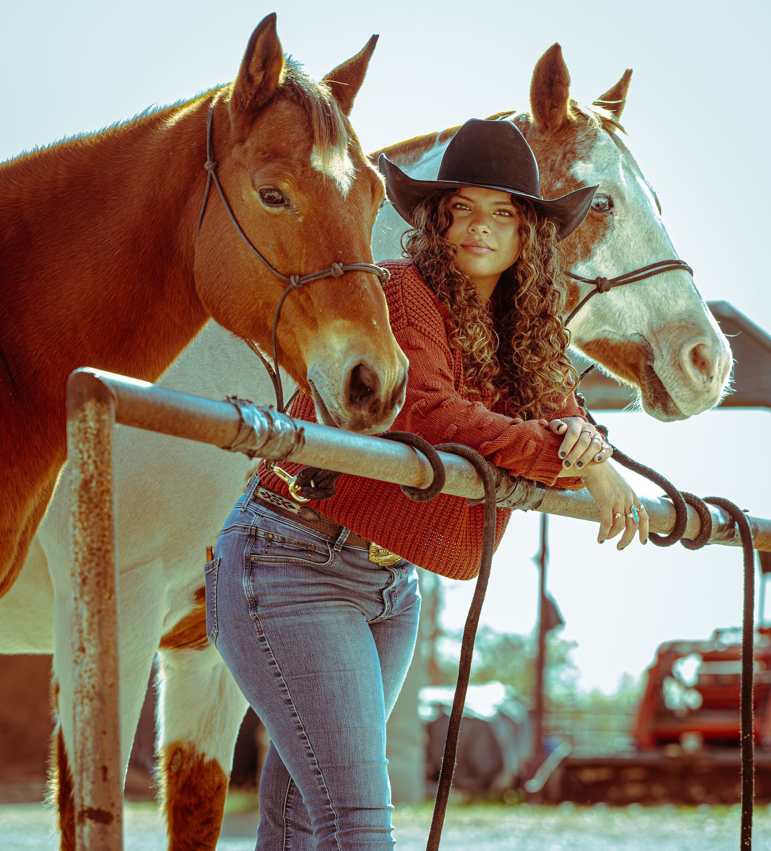 A close-up series of images showing a horse and rider in jeans against a soft-focused outdoor background.