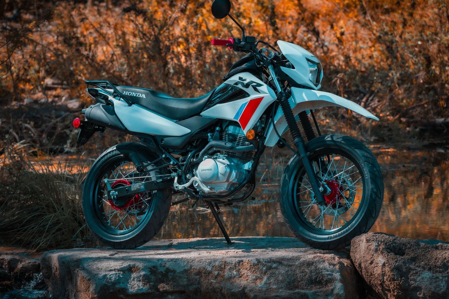 Dirt bike motorcycle displayed in autumn forest setting with orange foliage.