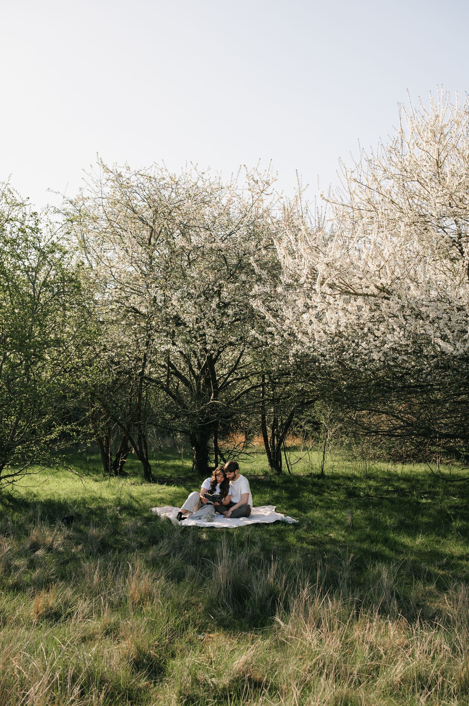 Couple sitting on a blanket under blooming white trees in a lush green meadow during a romantic spring picnic.