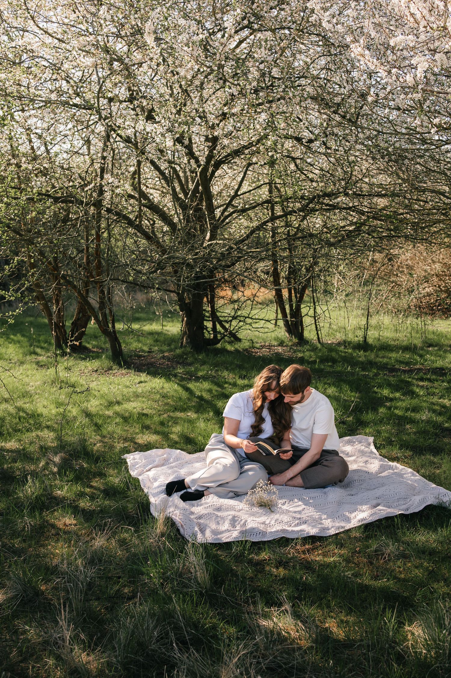 Couple sitting on a blanket reading together under blooming spring trees in a lush green garden.
