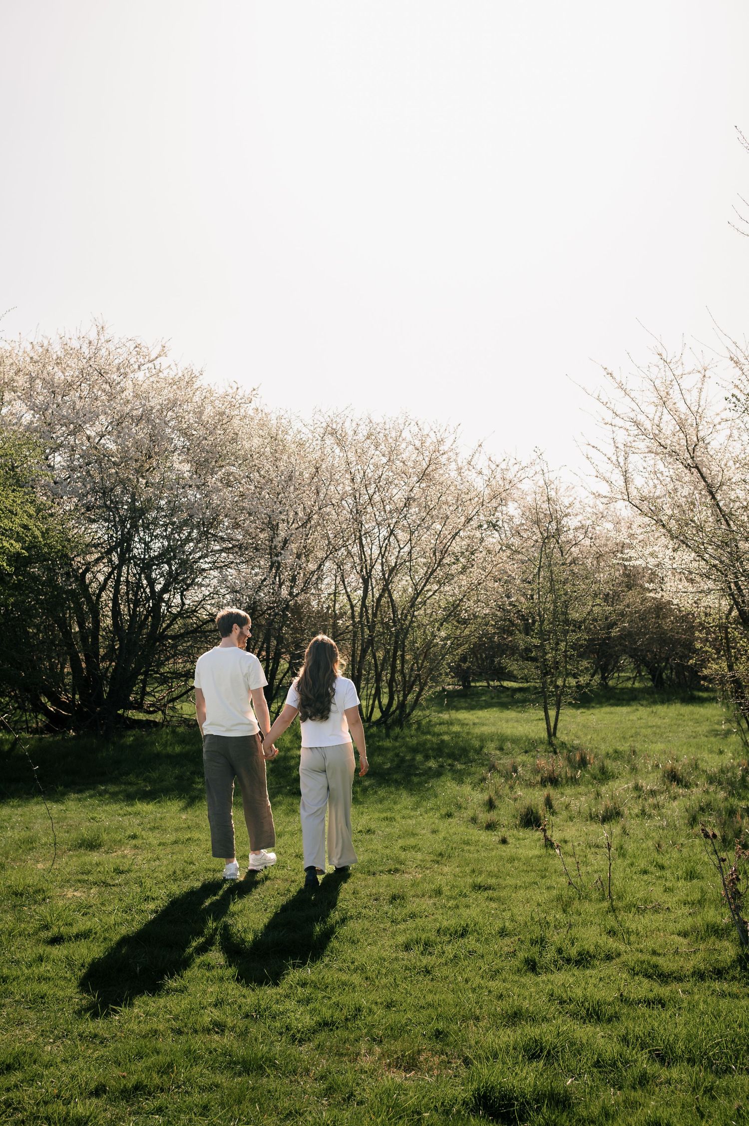 A couple holds hands walking through a lush green meadow surrounded by blooming white trees on a sunny spring day.