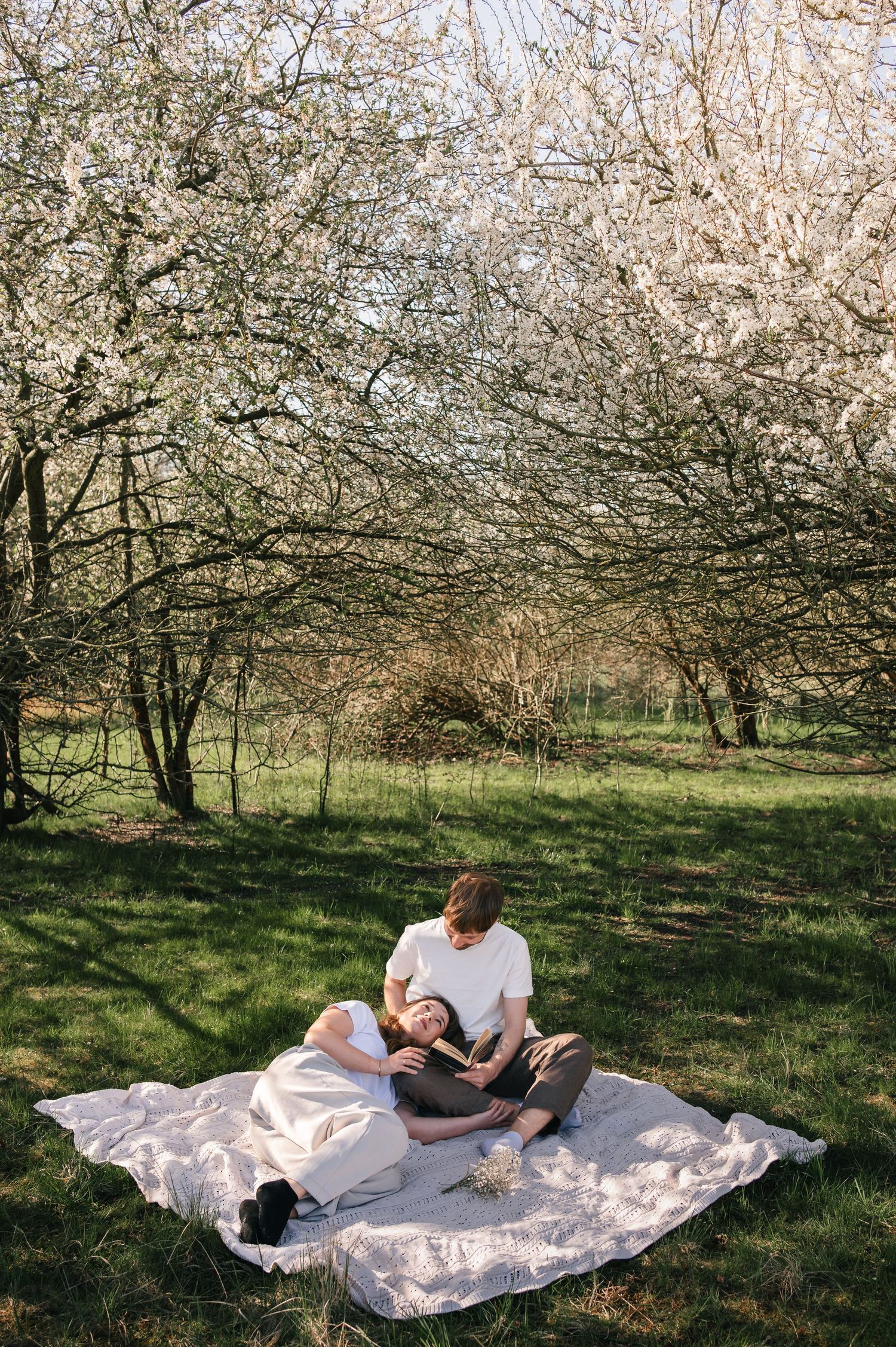 Couple relaxing on a blanket under blossoming trees in a sunny green garden during spring.