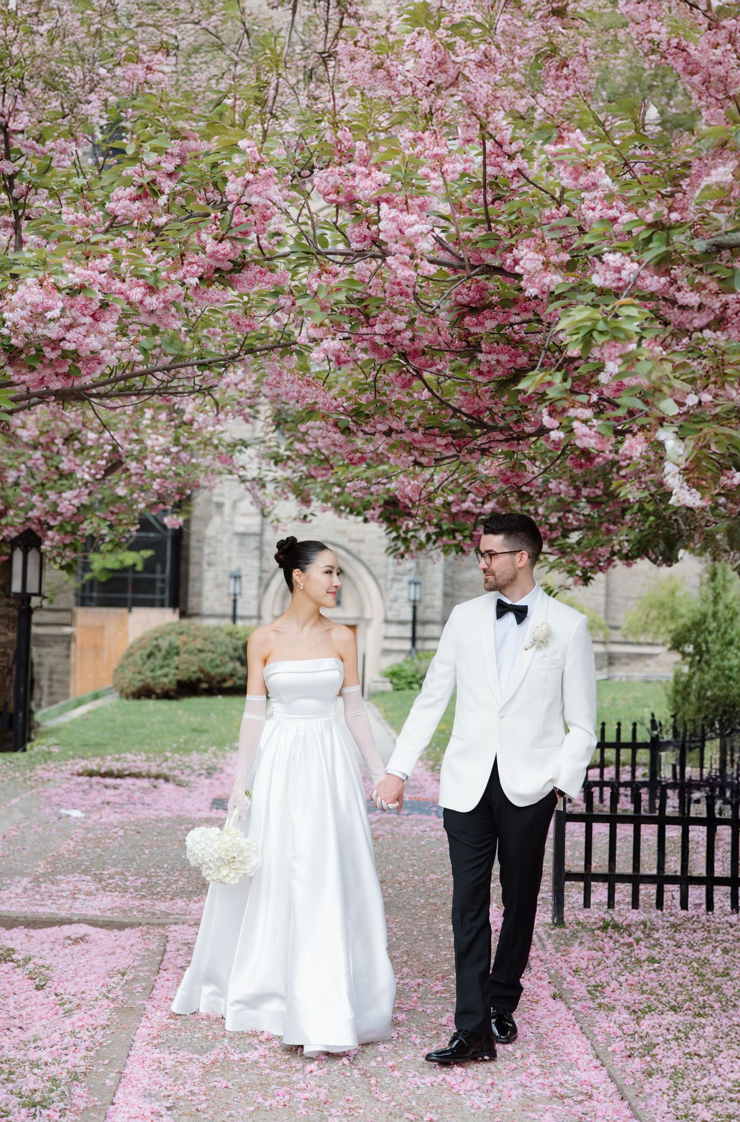 Wedding couple poses under blooming cherry blossom trees surrounded by fallen pink petals near an ornate black fence.