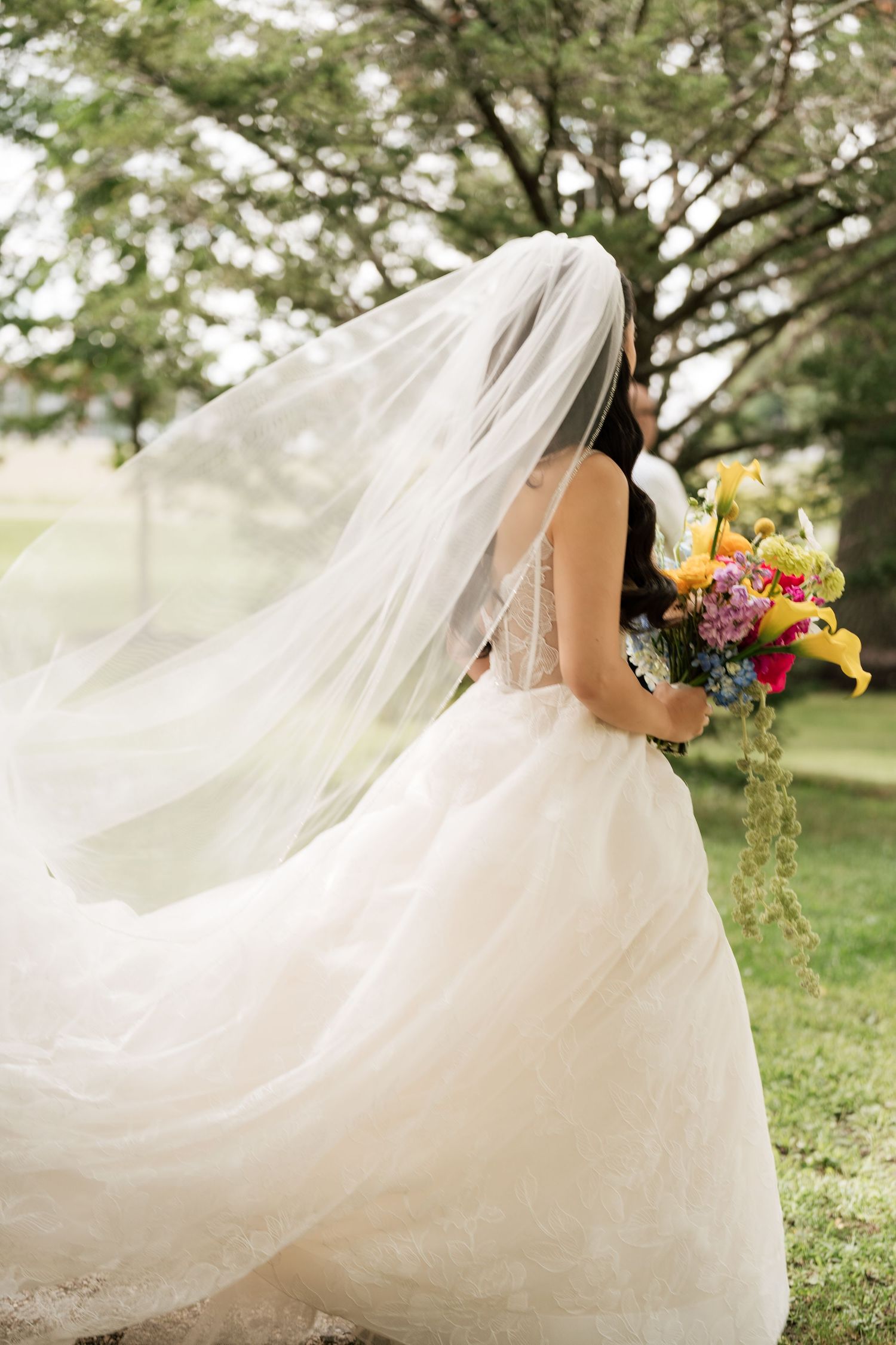 A bride in a flowing white wedding gown and veil twirls gracefully in a sunlit garden setting.