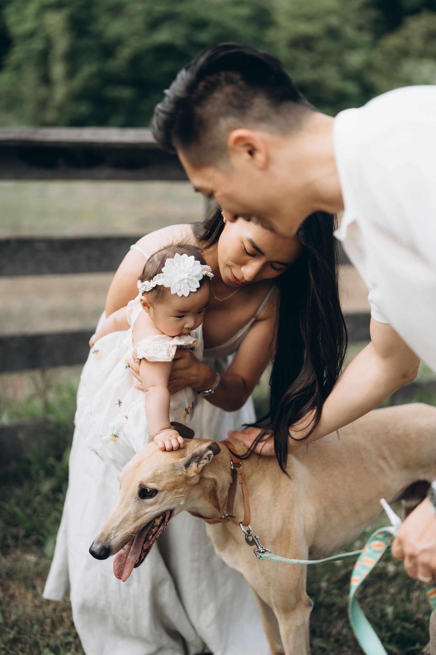 Young family shares tender moment with their greyhound dog on grassy field near wooden fence.