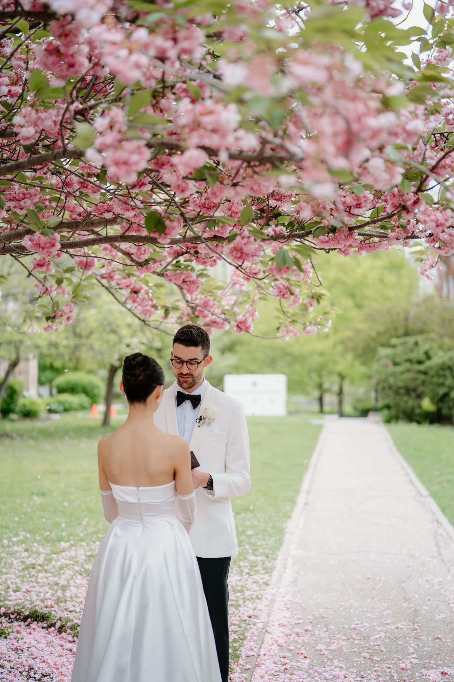 A bride and groom stand on a pathway beneath pink cherry blossoms as petals scatter across the ground.