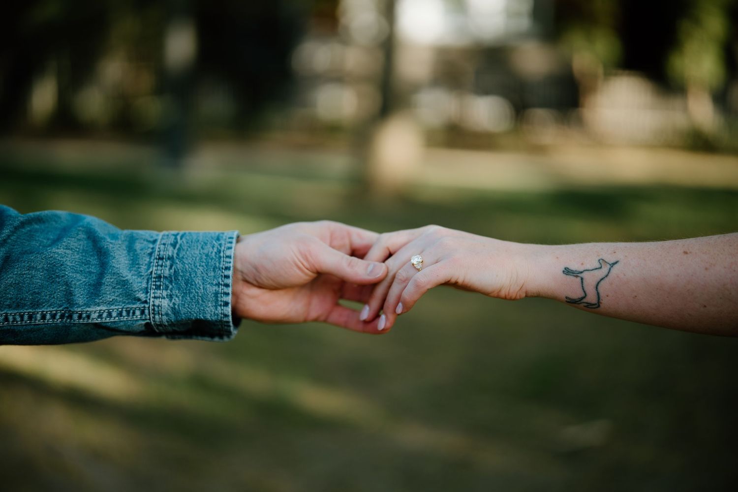 Two hands reaching towards each other in a tender moment outdoors, with one arm showing a bird tattoo.