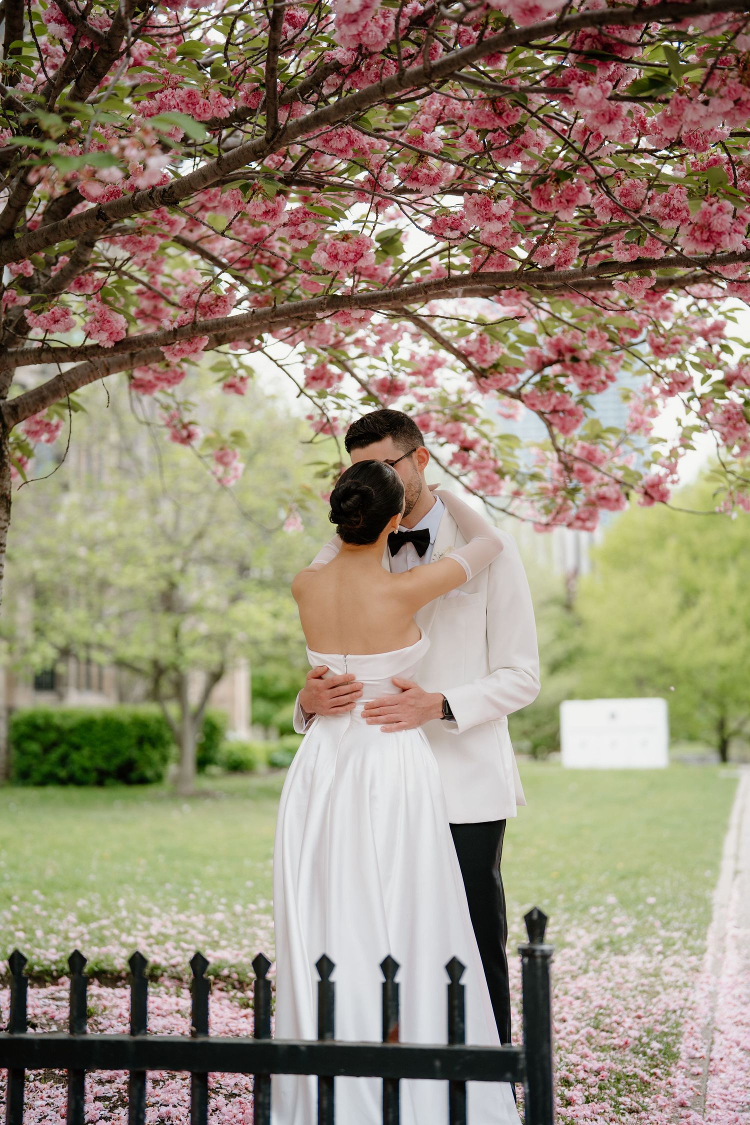 A romantic spring wedding moment under blooming cherry blossoms with pink petals scattered on the ground.