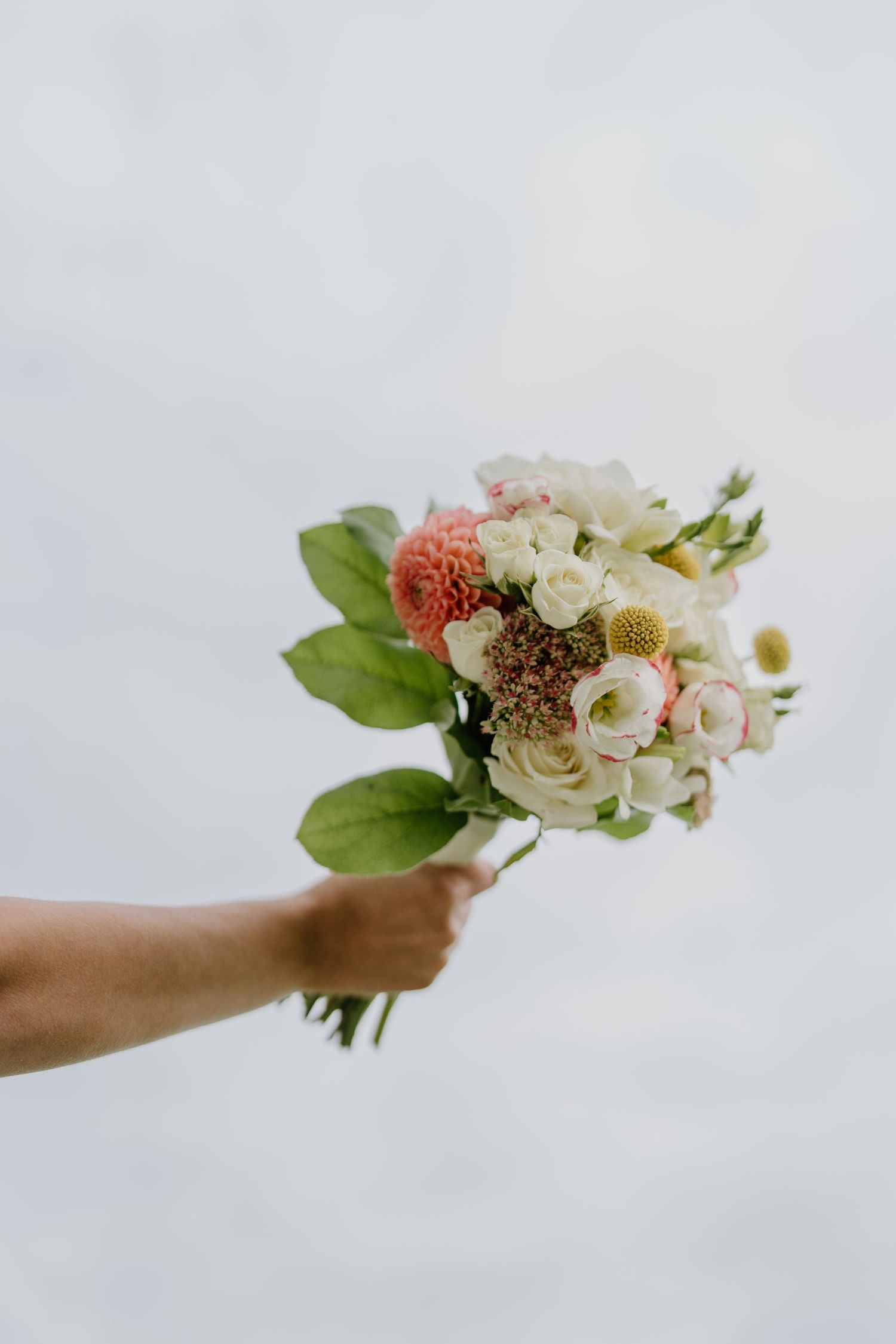 A hand holds a delicate bouquet of pink and white roses with green foliage against a light gray background.