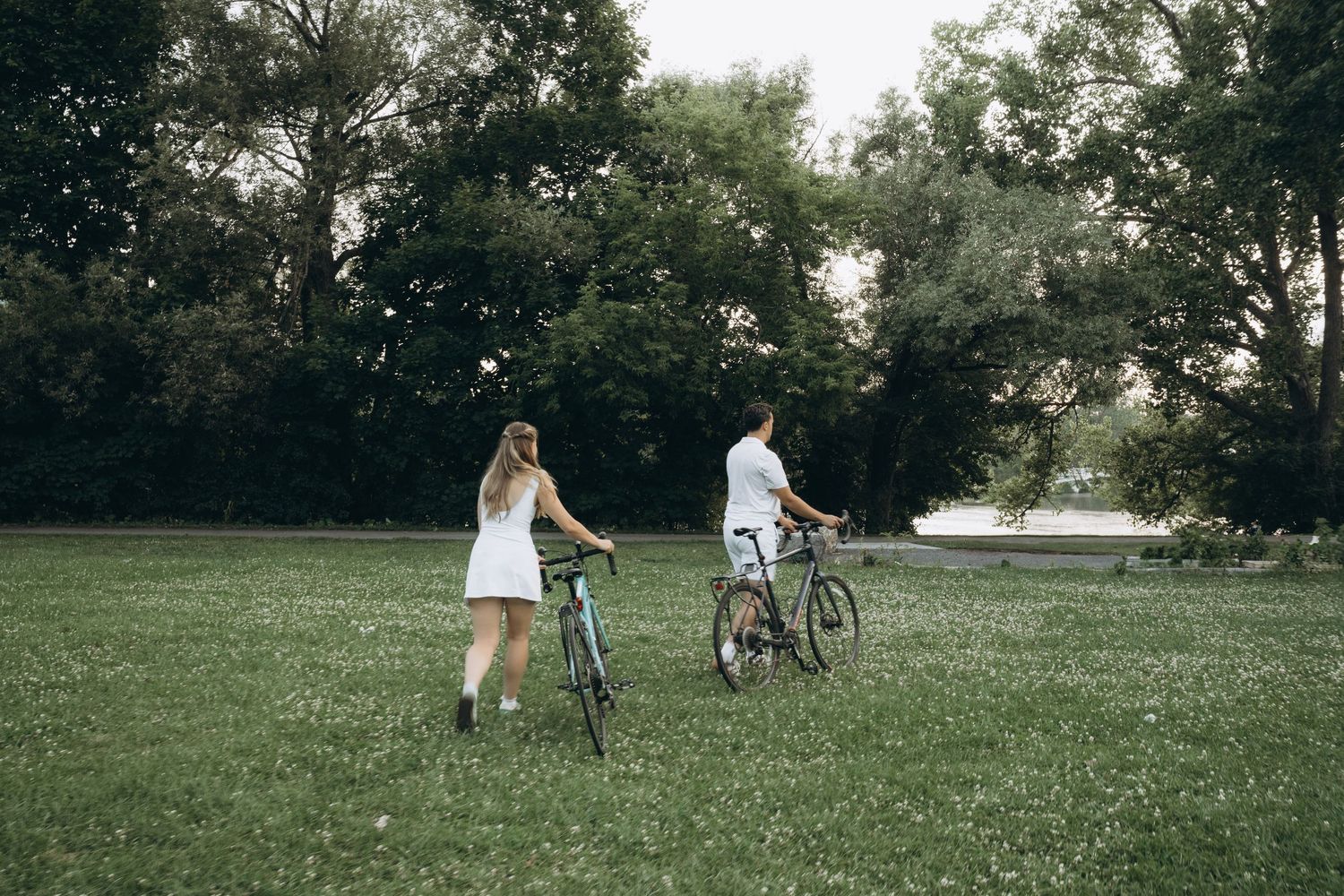 A fun photo series shows people playing and running through a grassy park with their dogs during sunset.