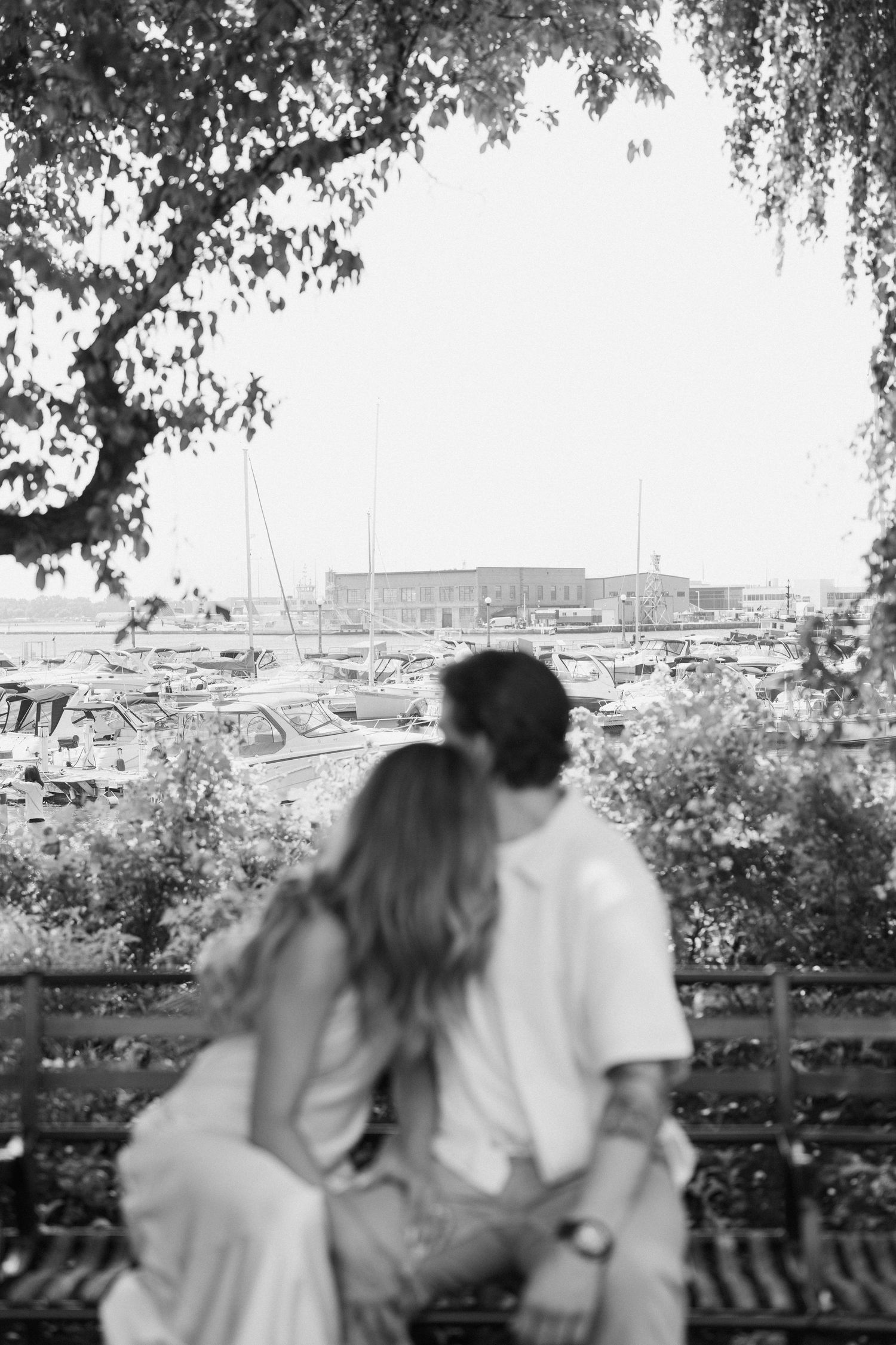 A multi-panel black and white photograph showing a rooftop view with trees and urban structures in the background.