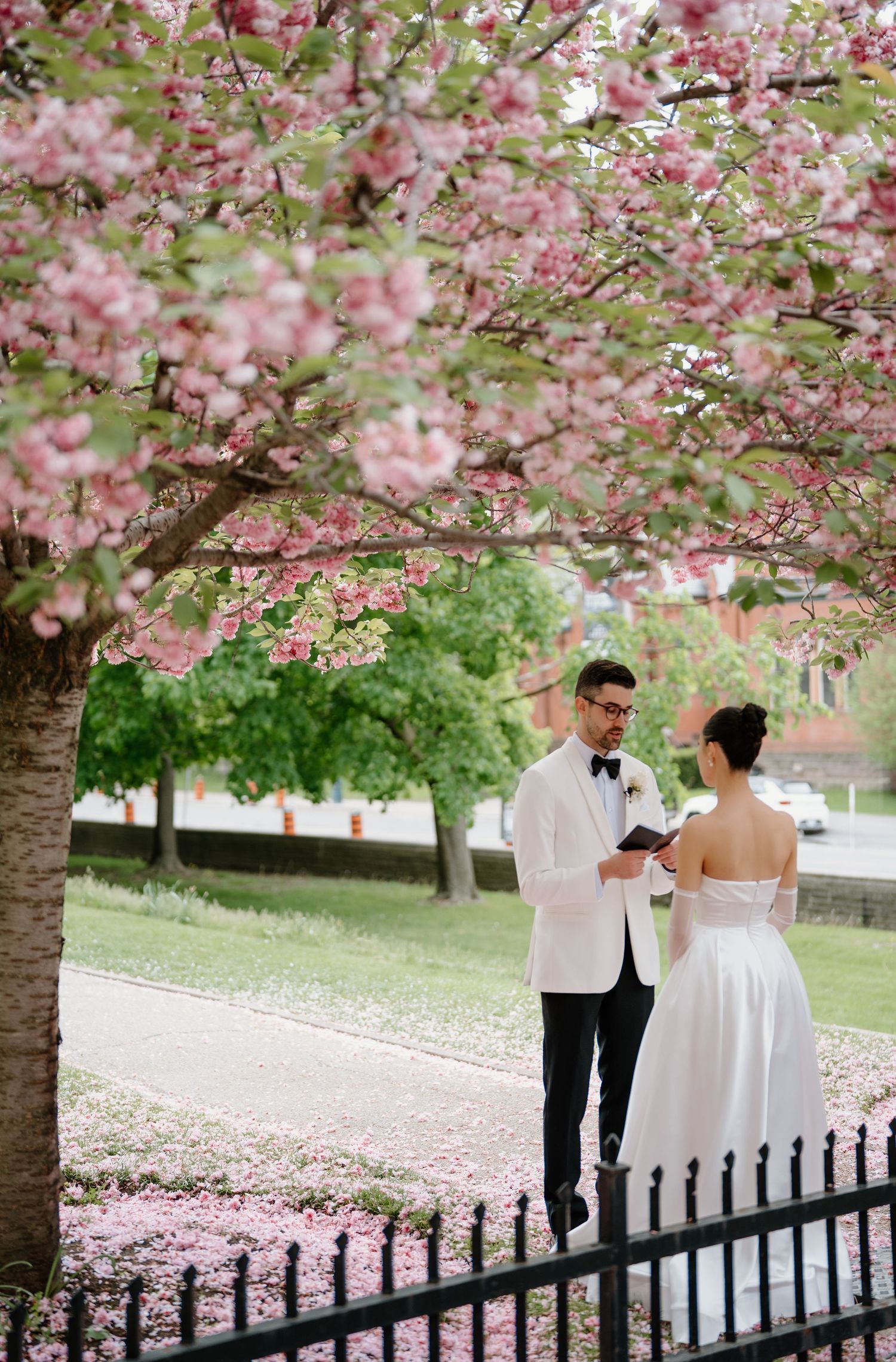 Newlywed couple sharing an intimate moment under blooming pink cherry blossom trees along a garden path.
