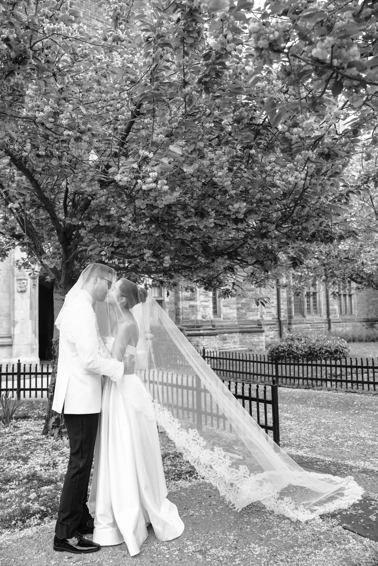 A bride and groom share a tender moment under a blooming tree on their wedding day, with her long lace veil trailing behind.