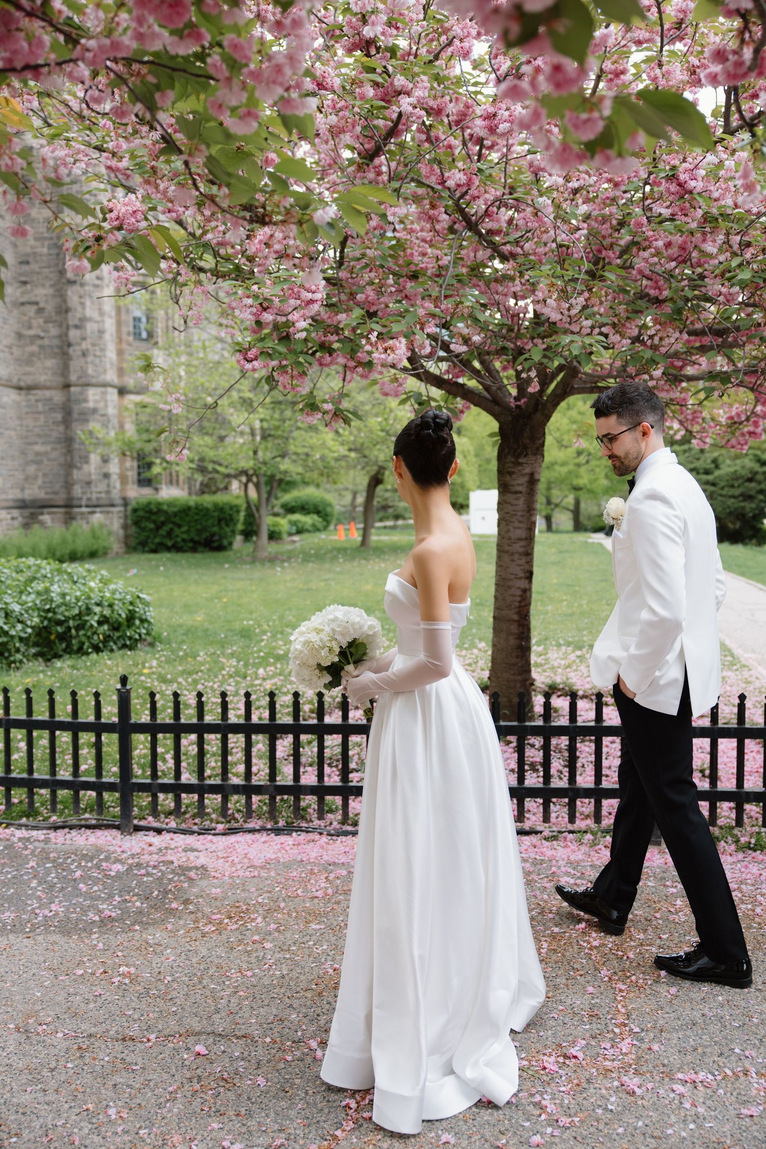 A couple in wedding attire stands beneath a blooming pink cherry blossom tree next to a wrought iron fence.