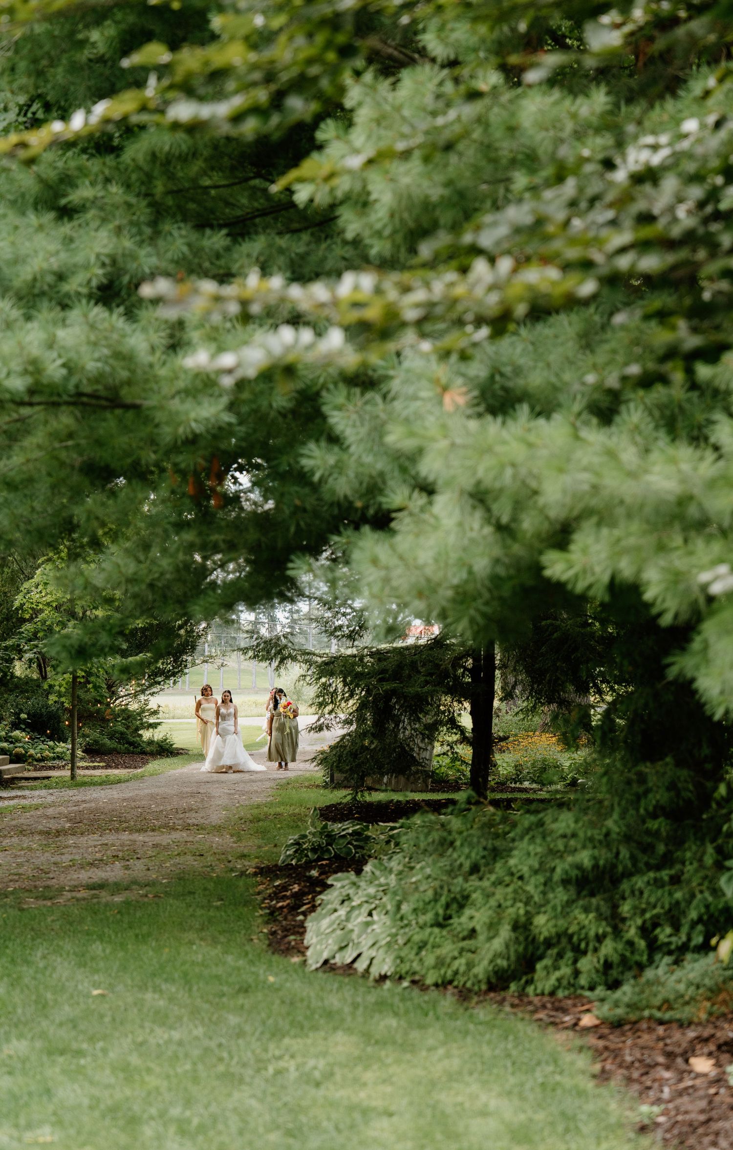 Cyclists ride through a serene wooded park path surrounded by lush green trees on a sunny day.