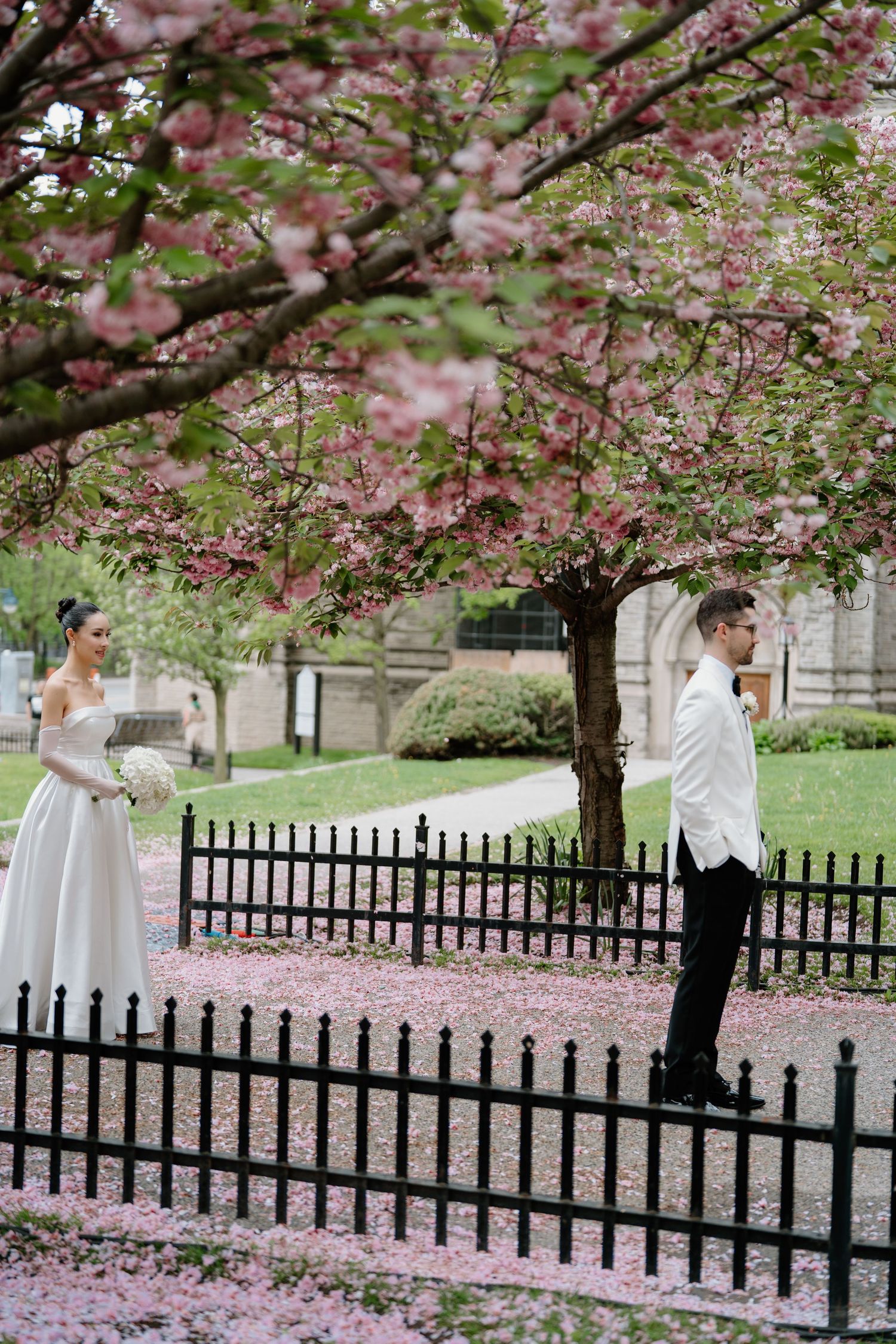 Wedding couple poses under blooming cherry blossom trees along a black iron fence in springtime.