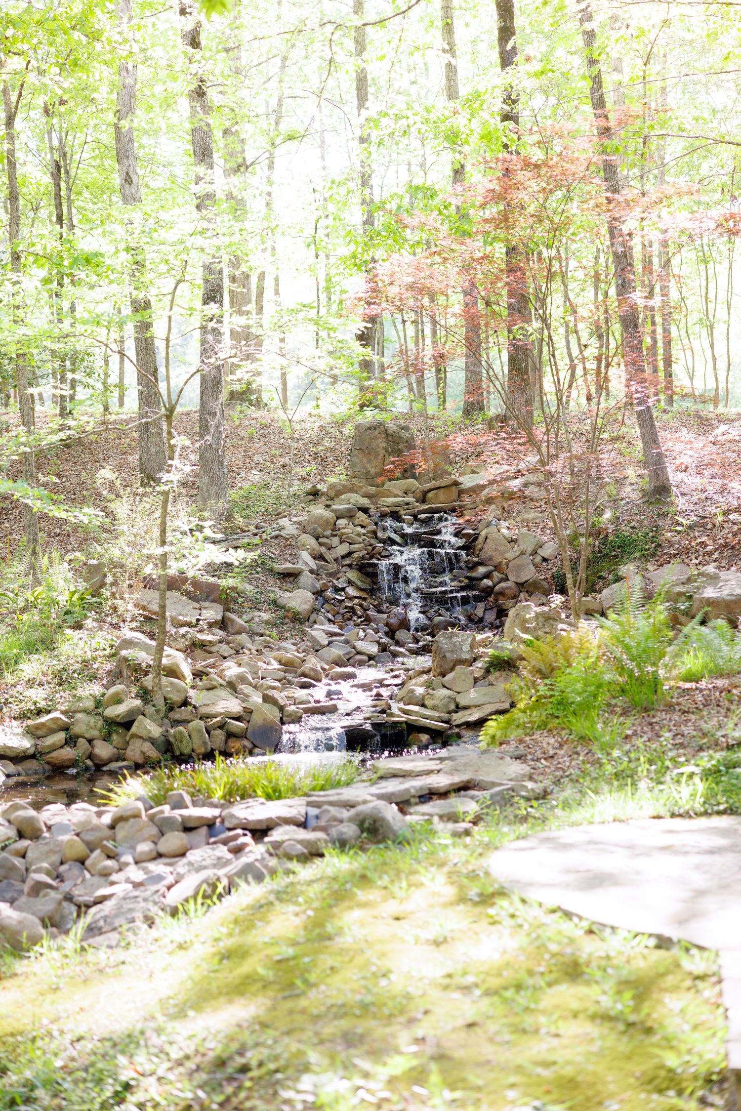 A serene woodland waterfall cascades over mossy rocks into a tranquil stream surrounded by lush green and autumn-hued trees.