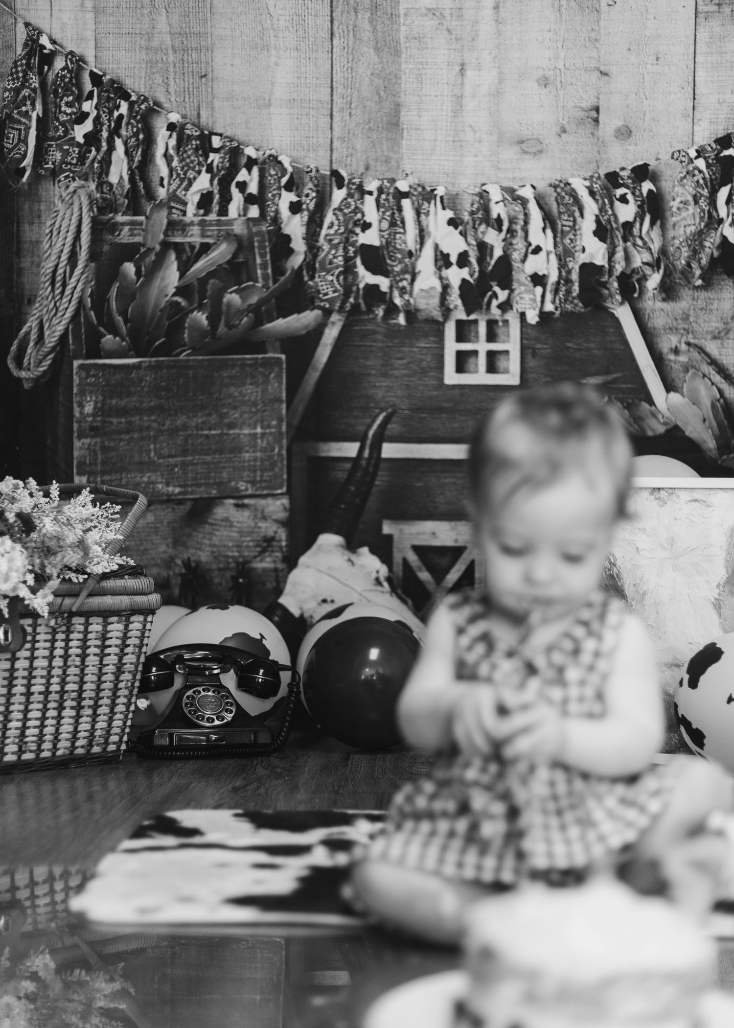 Sudbury photographer capturing cute cake smash