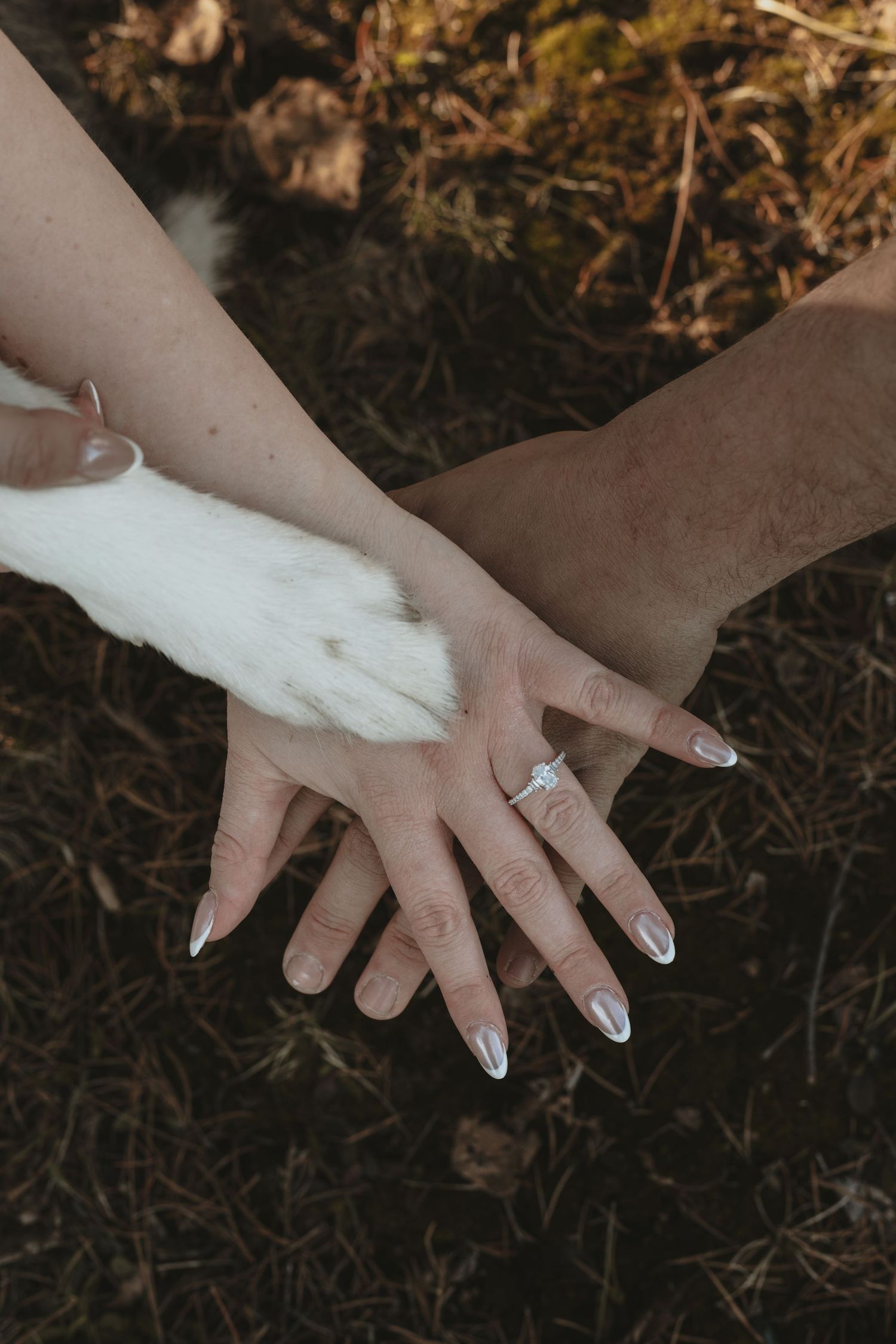 This photographer in Sudbury Ontario shows you how do i find a photographer who makes me feel comfortable with this fun session