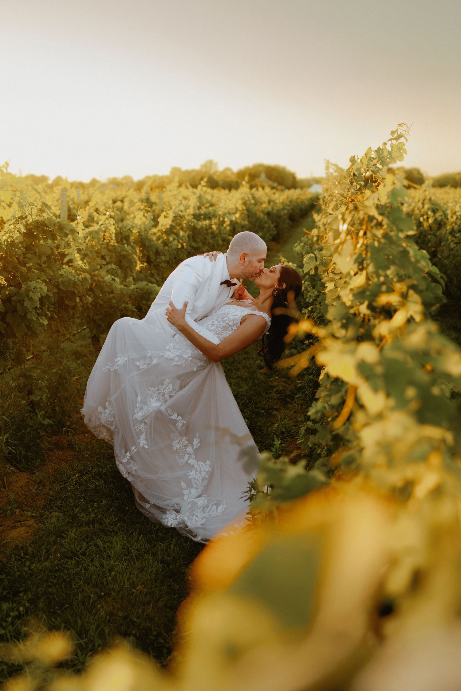 Groom dips bride in lace wedding gown for a kiss among golden vineyard rows at sunset.