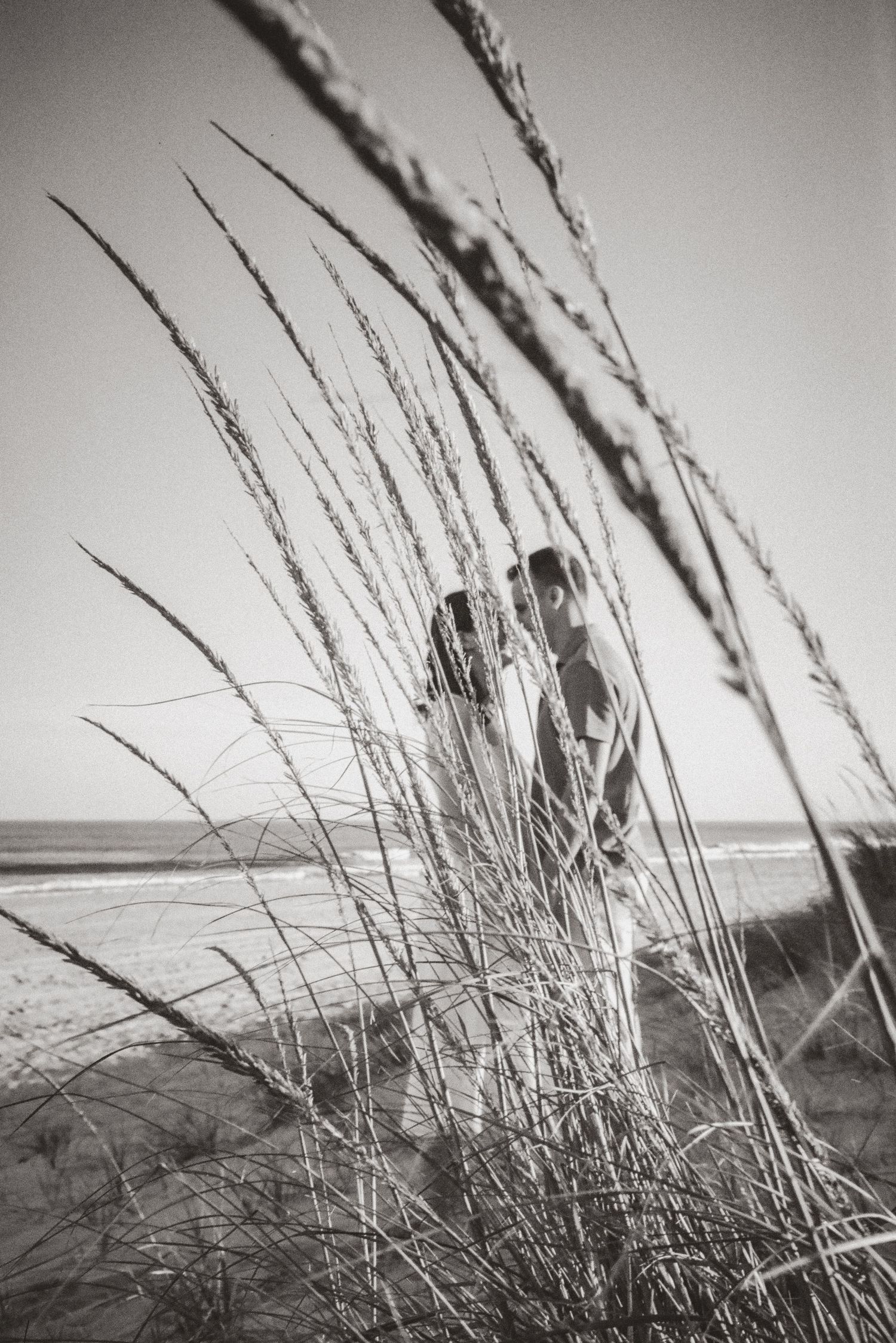 Black and white artistic beach photo of a couple kissing framed by tall coastal grass in the foreground.