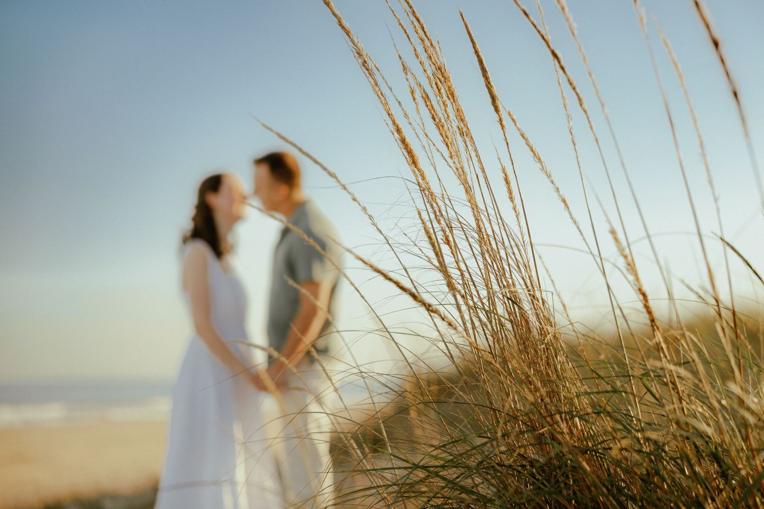 Couple kisses softly behind tall golden beach grass on sandy dunes at sunset.