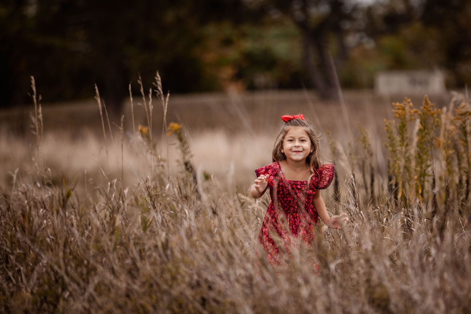 Kids Portraits Veronica Mae Photography, Boston Photography