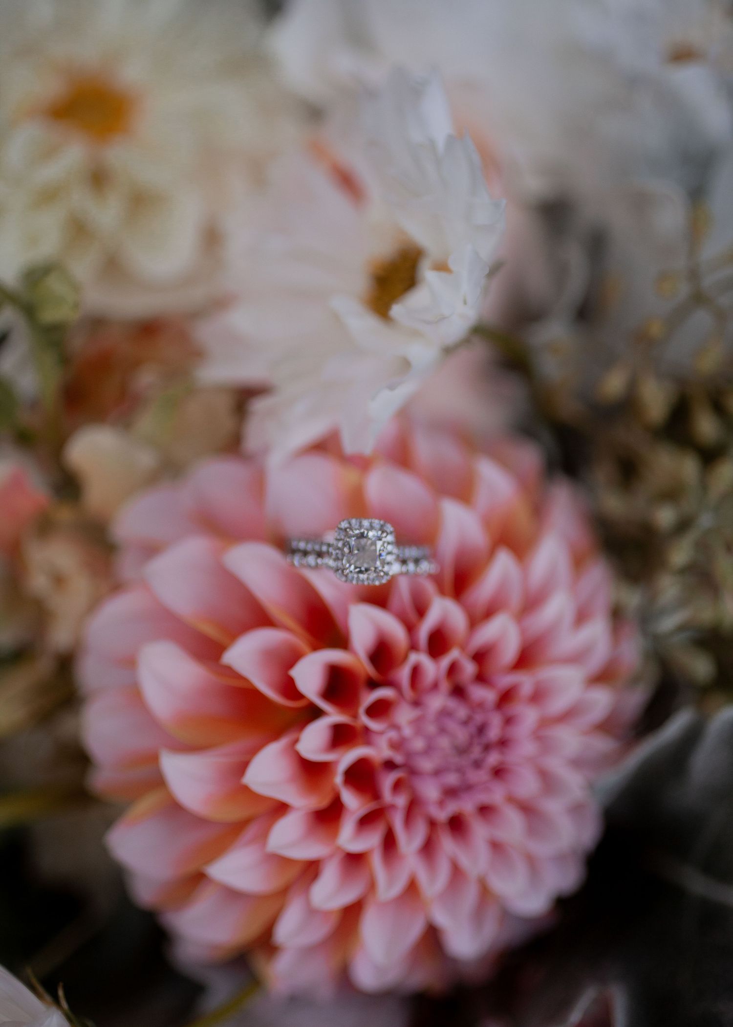 Boston Bilingual Wedding  Photography