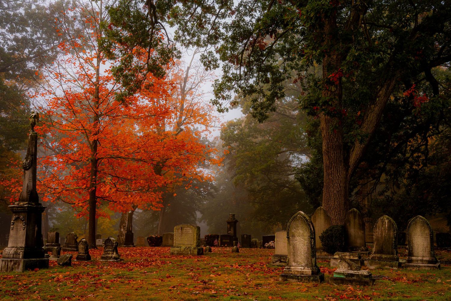 Foggy autumn cemetery with vibrant red maple trees, scattered gravestones, and fallen leaves on the ground.