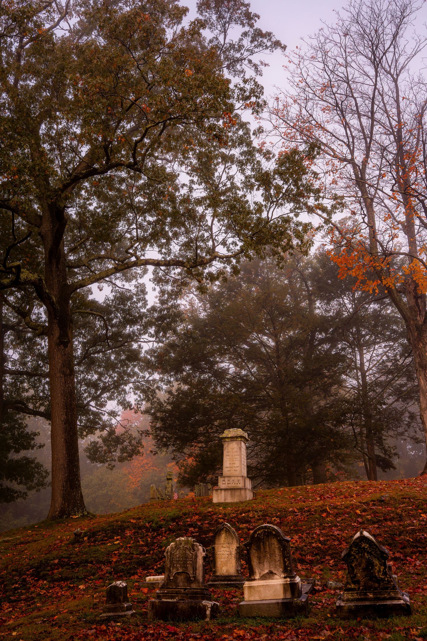 Foggy autumn cemetery with old gravestones, fallen red leaves, and bare trees creating an eerie, atmospheric scene.