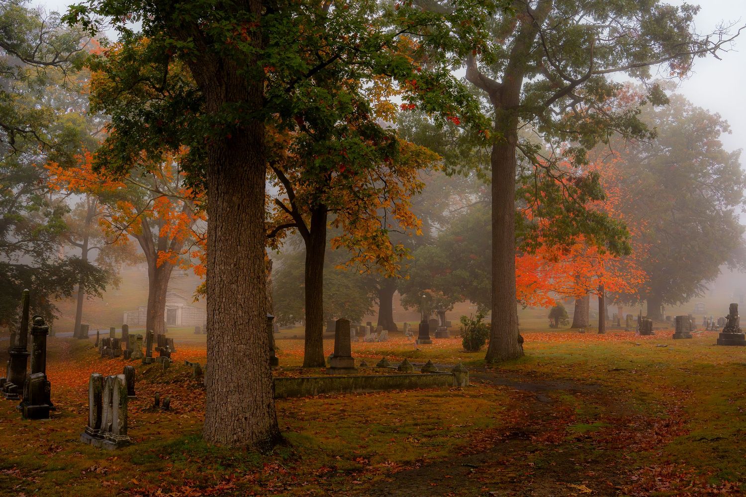 Misty autumn cemetery with colorful red and orange foliage trees, gravestones visible through fog in a serene fall landscape.