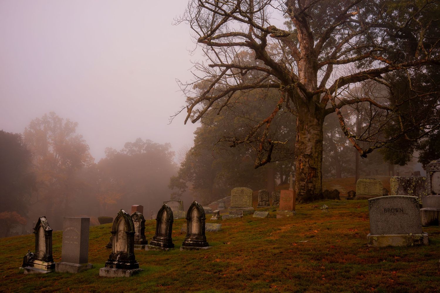 Foggy cemetery with old gravestones and bare trees on a misty autumn morning.
