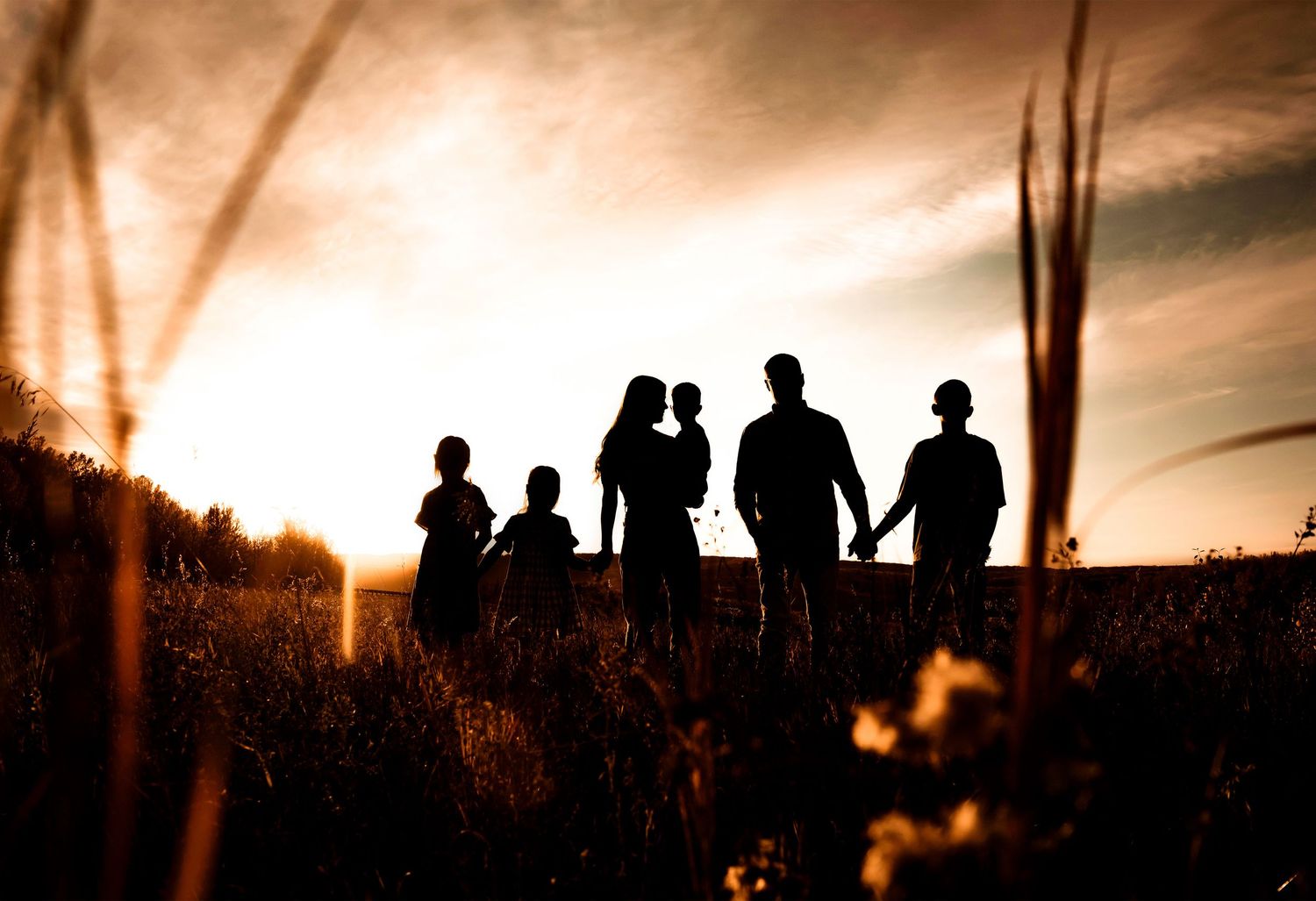 sillhouette family