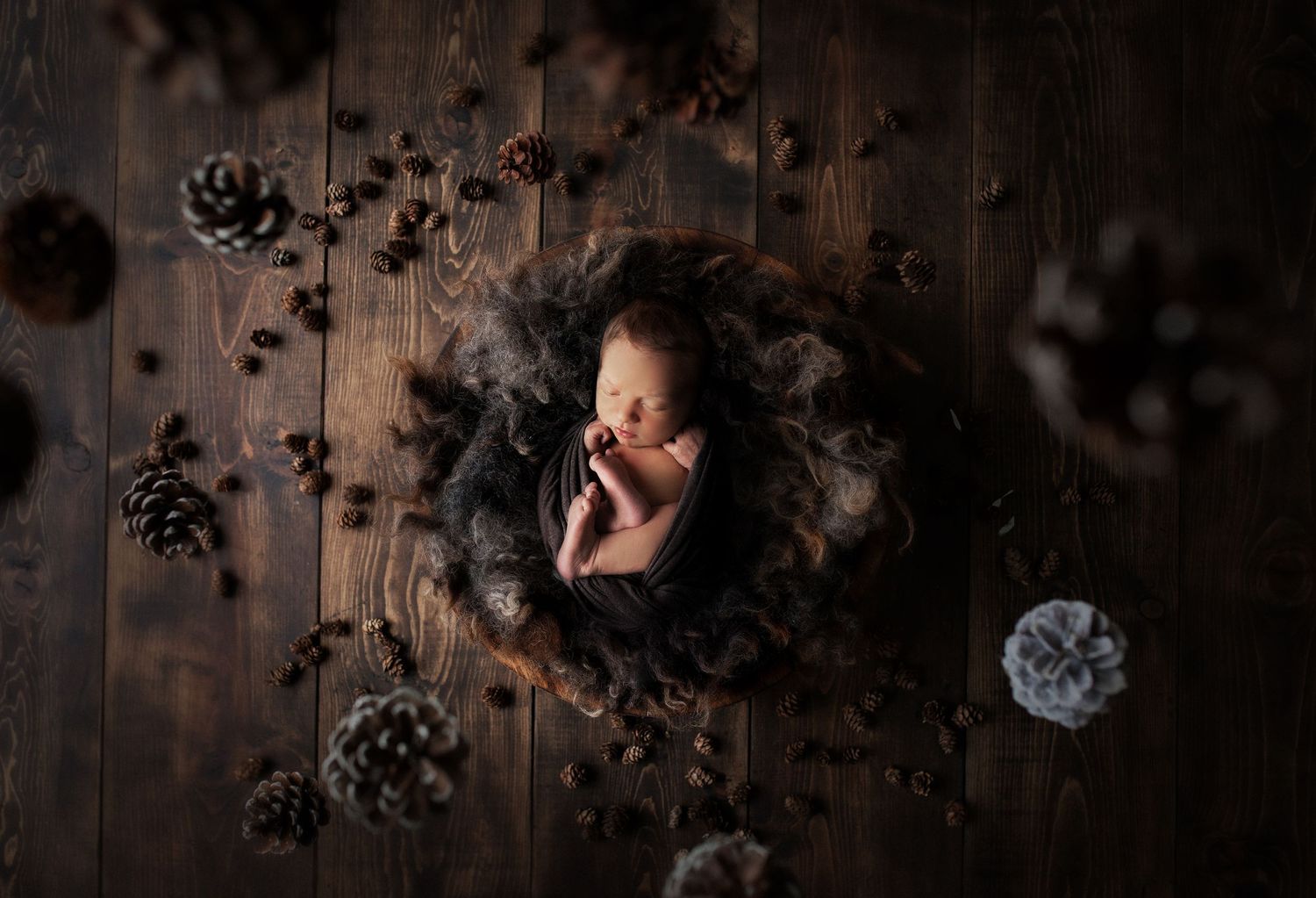 Newborn baby sleeping peacefully in a dark fur nest surrounded by pine cones on a rustic wooden floor.