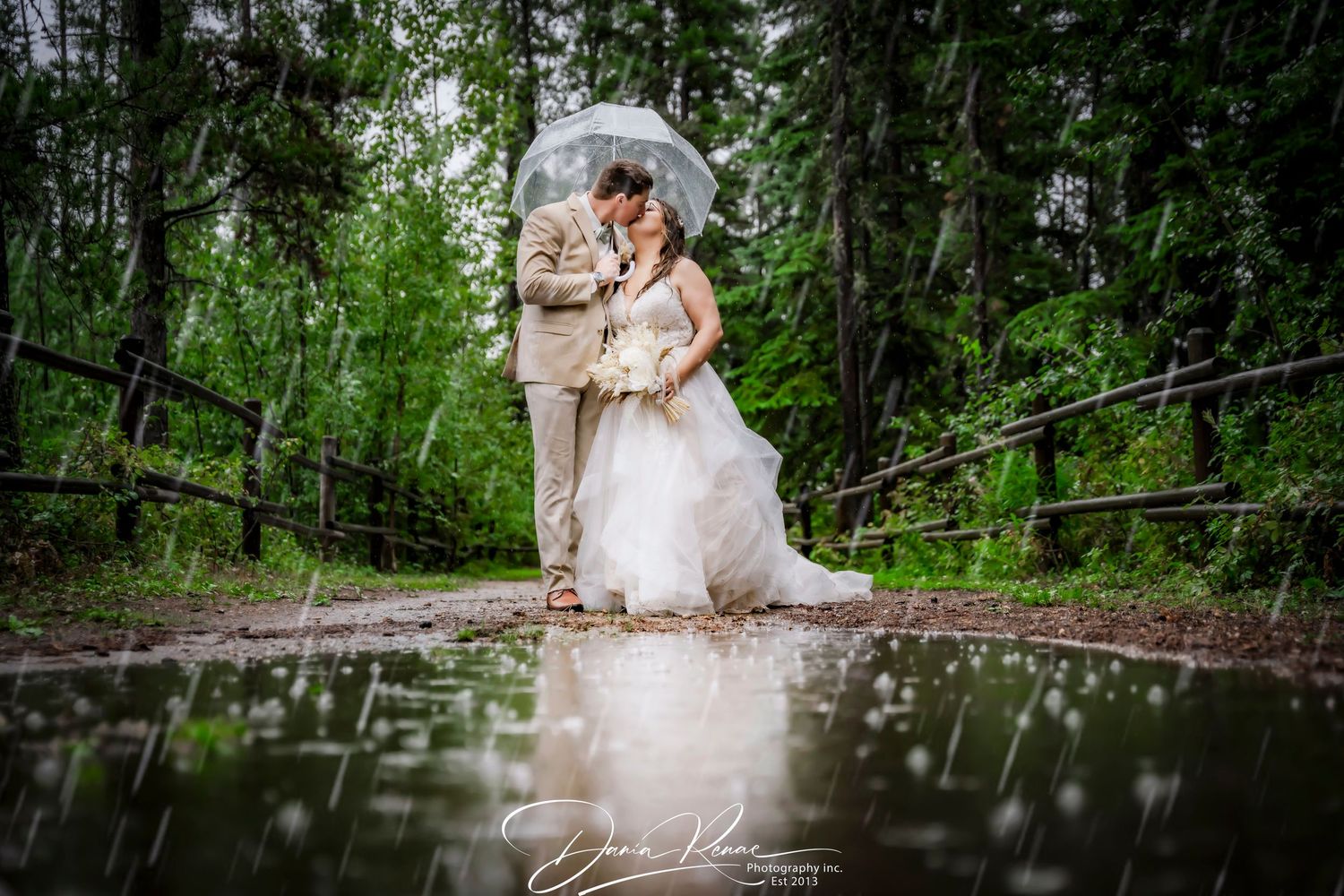 wedding portrait