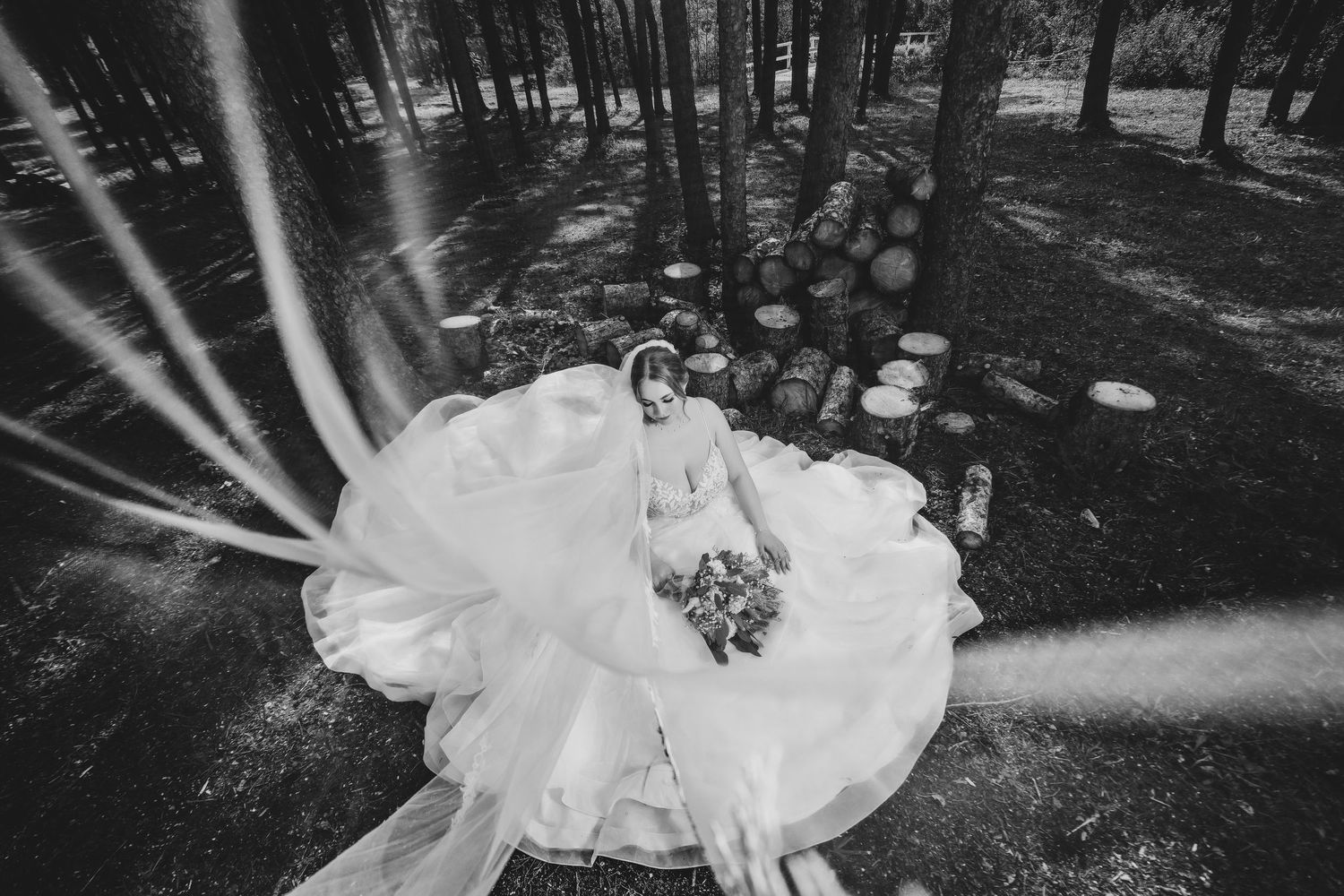 Black and white aerial photo of a bride in a flowing ball gown wedding dress surrounded by trees and logs.