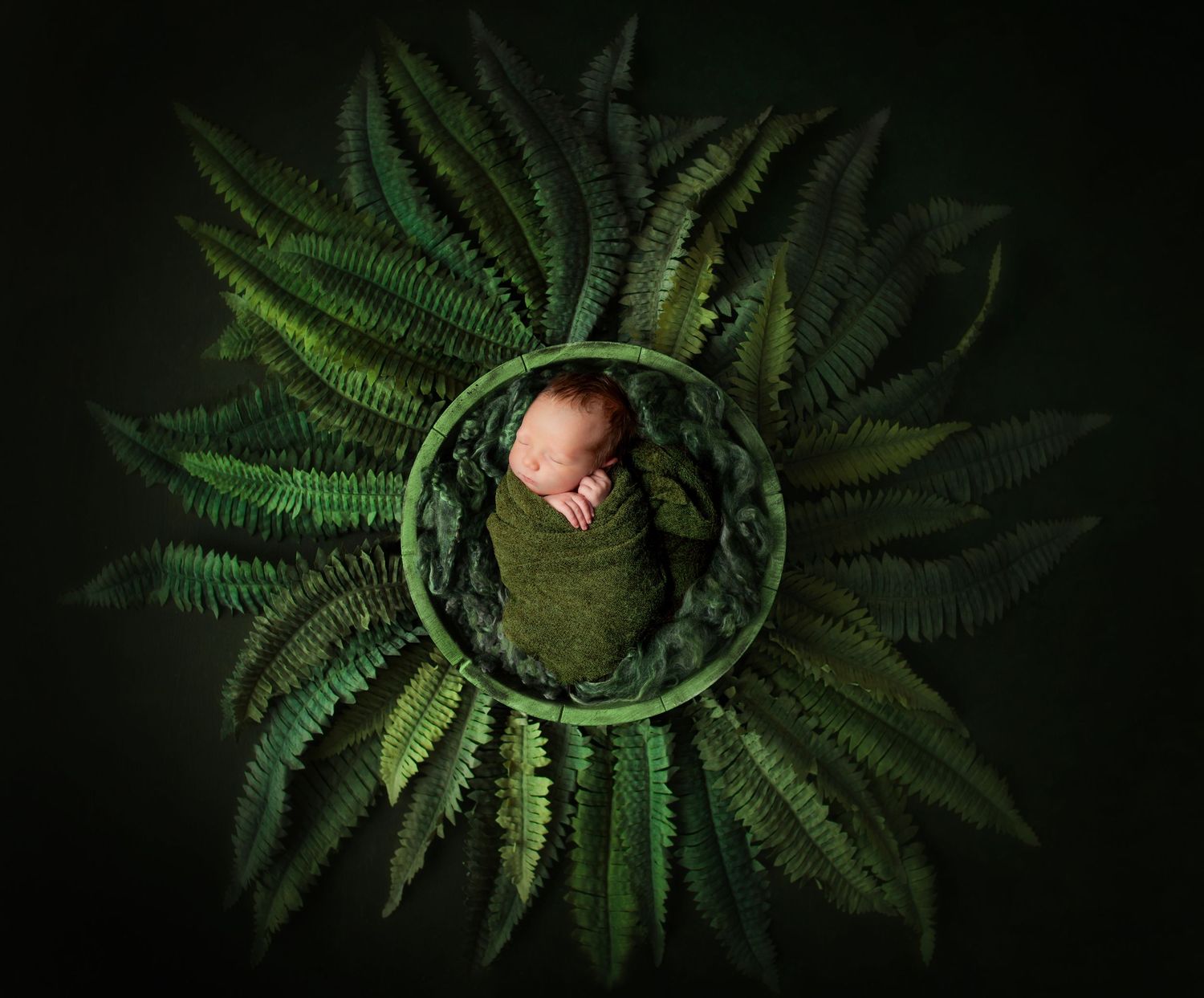 newborn photo