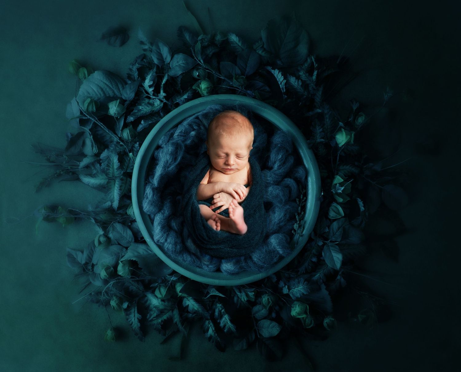 newborn photo