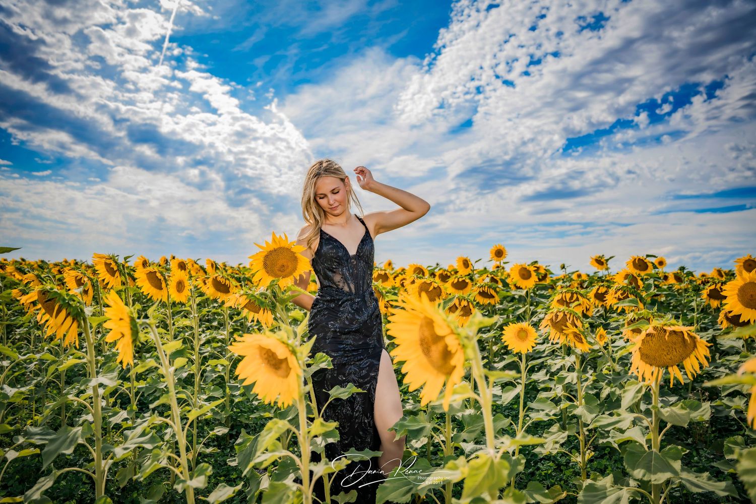 Blonde woman in black dress posing in a vibrant sunflower field under a dramatic blue sky with white clouds.